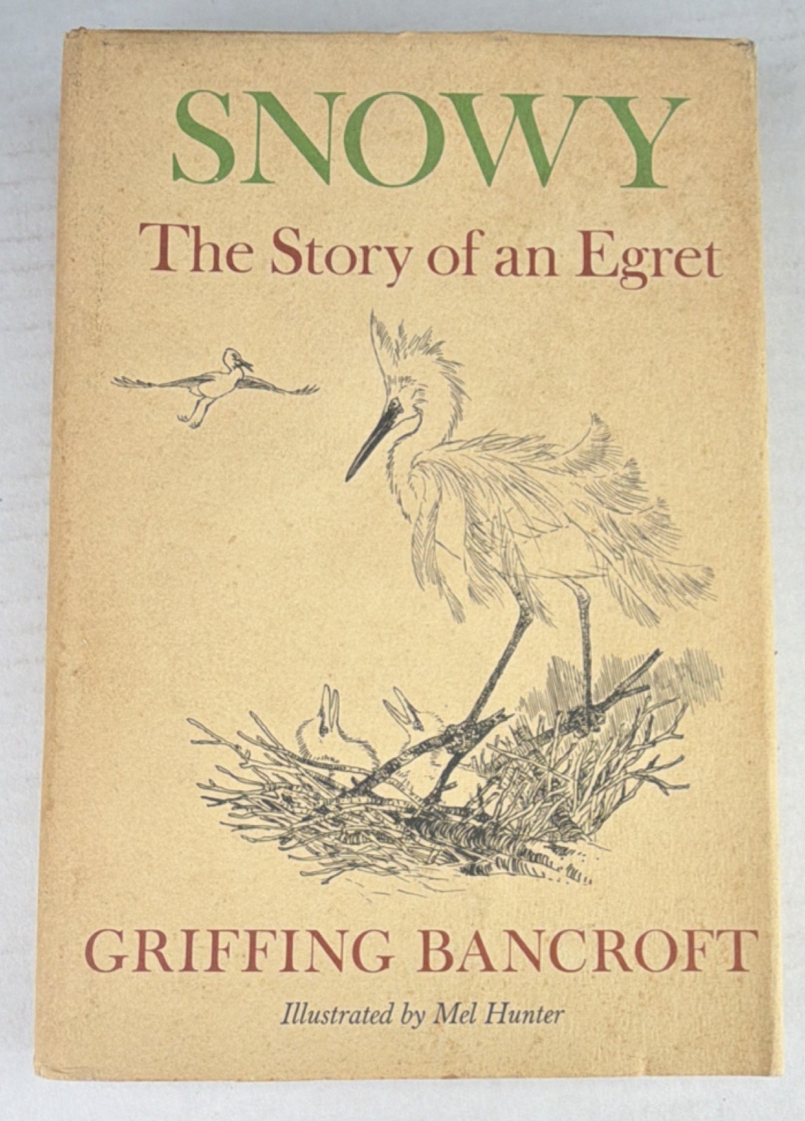 Snowy; The Story of an Egret (Hardcover, Illustrated, Signed) Griffing Bancroft