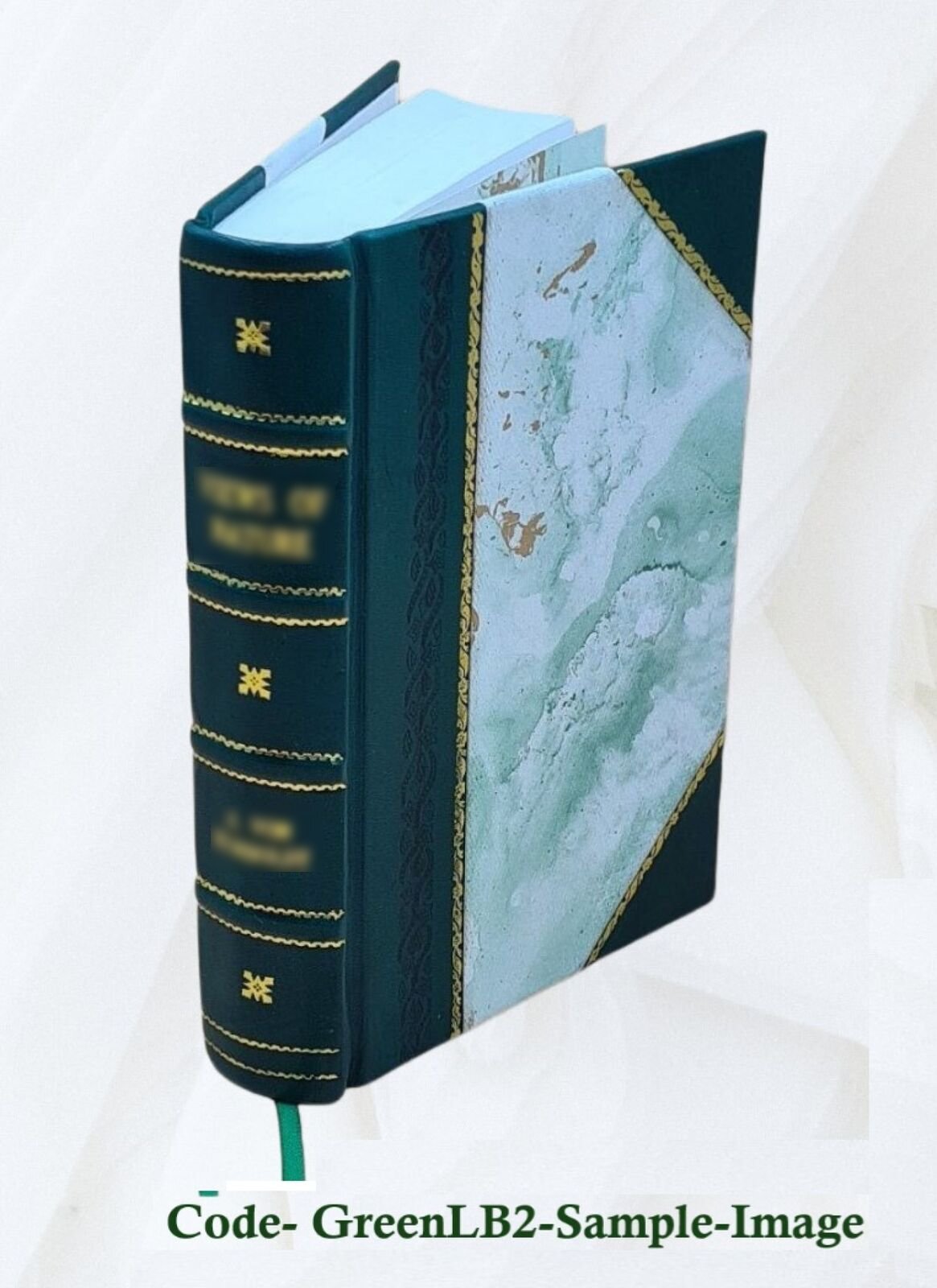 The Graphic And Historical Illustrator An Original Miscellany Of [Leather Bound]
