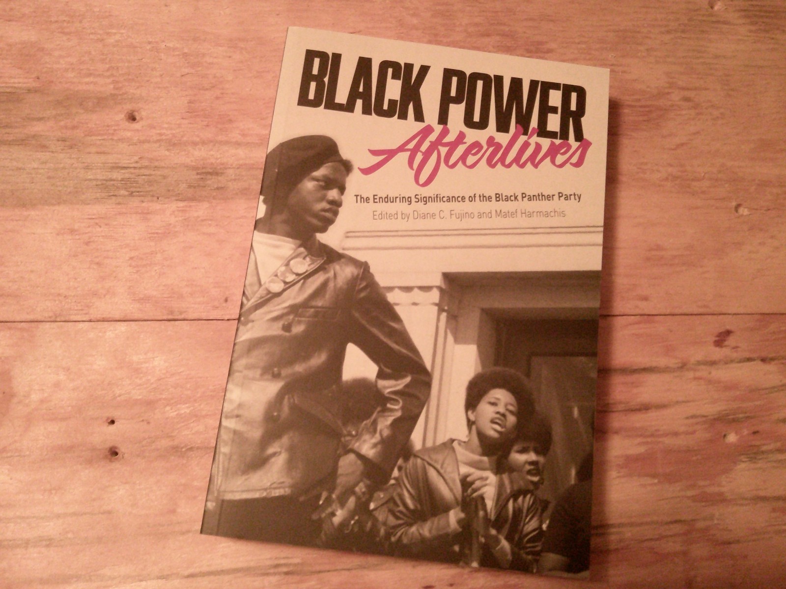 Black Power Afterlives: The Enduring Significance of the Black Panther Party