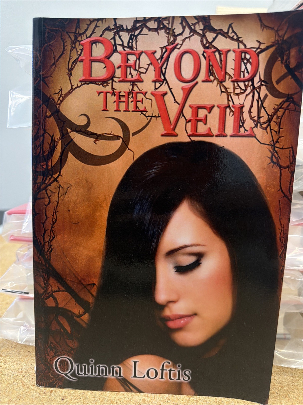 Beyond the Veil by Quinn Loftis (2012, Trade Paperback)