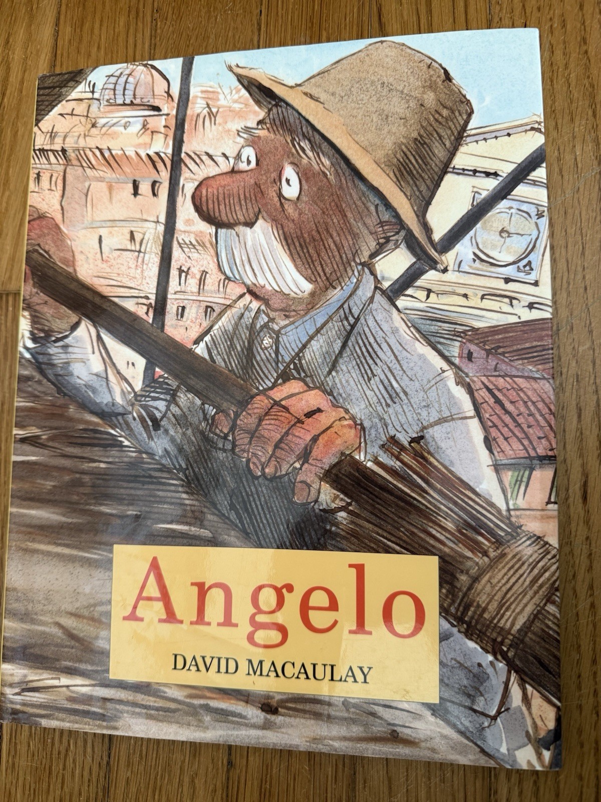 Angelo David Macaulay Hardcover SIGNED First Edition Printing 2002 Dust Jacket