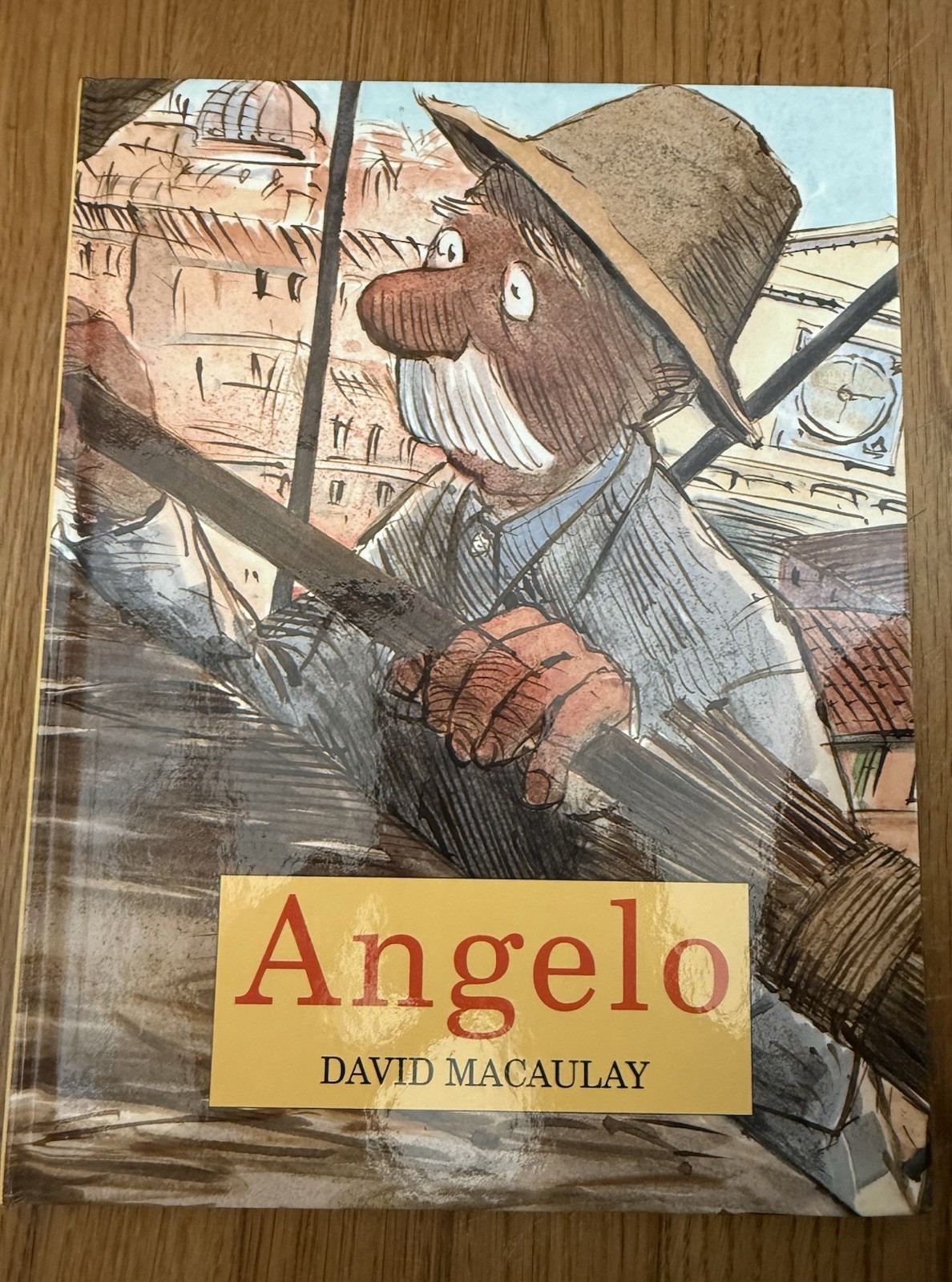 Angelo David Macaulay Hardcover SIGNED First Edition Printing 2002 Dust Jacket