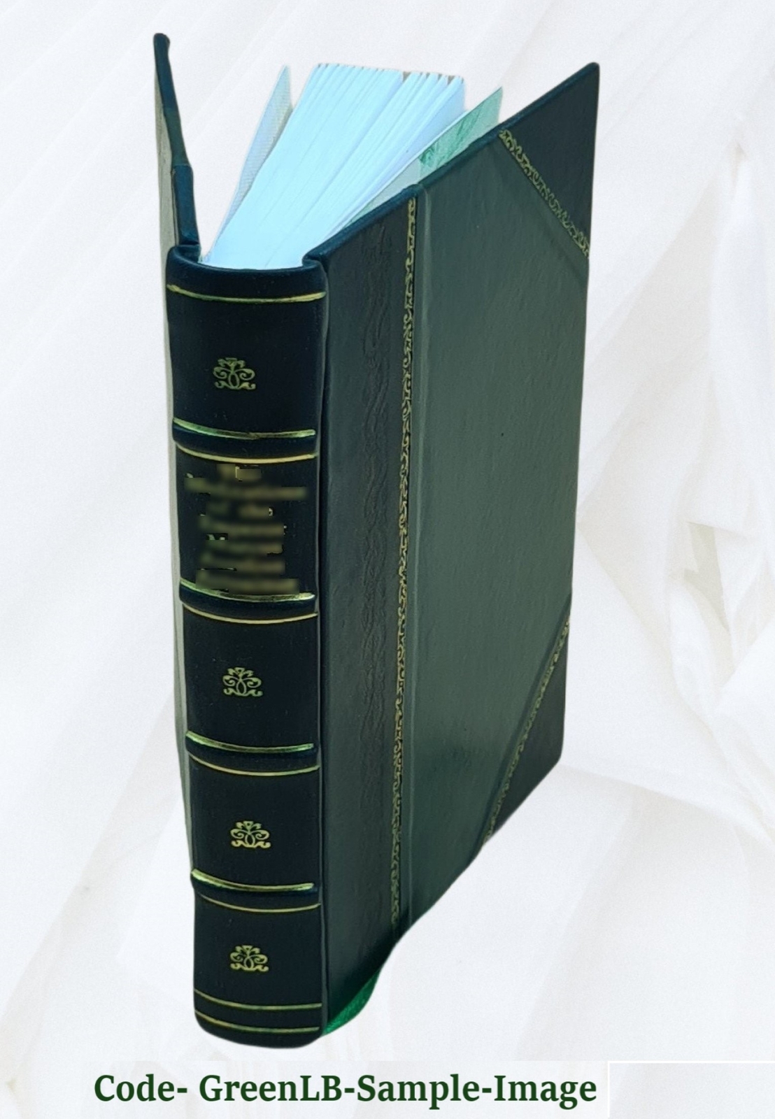 The Graphic And Historical Illustrator An Original Miscellany Of [Leather Bound]
