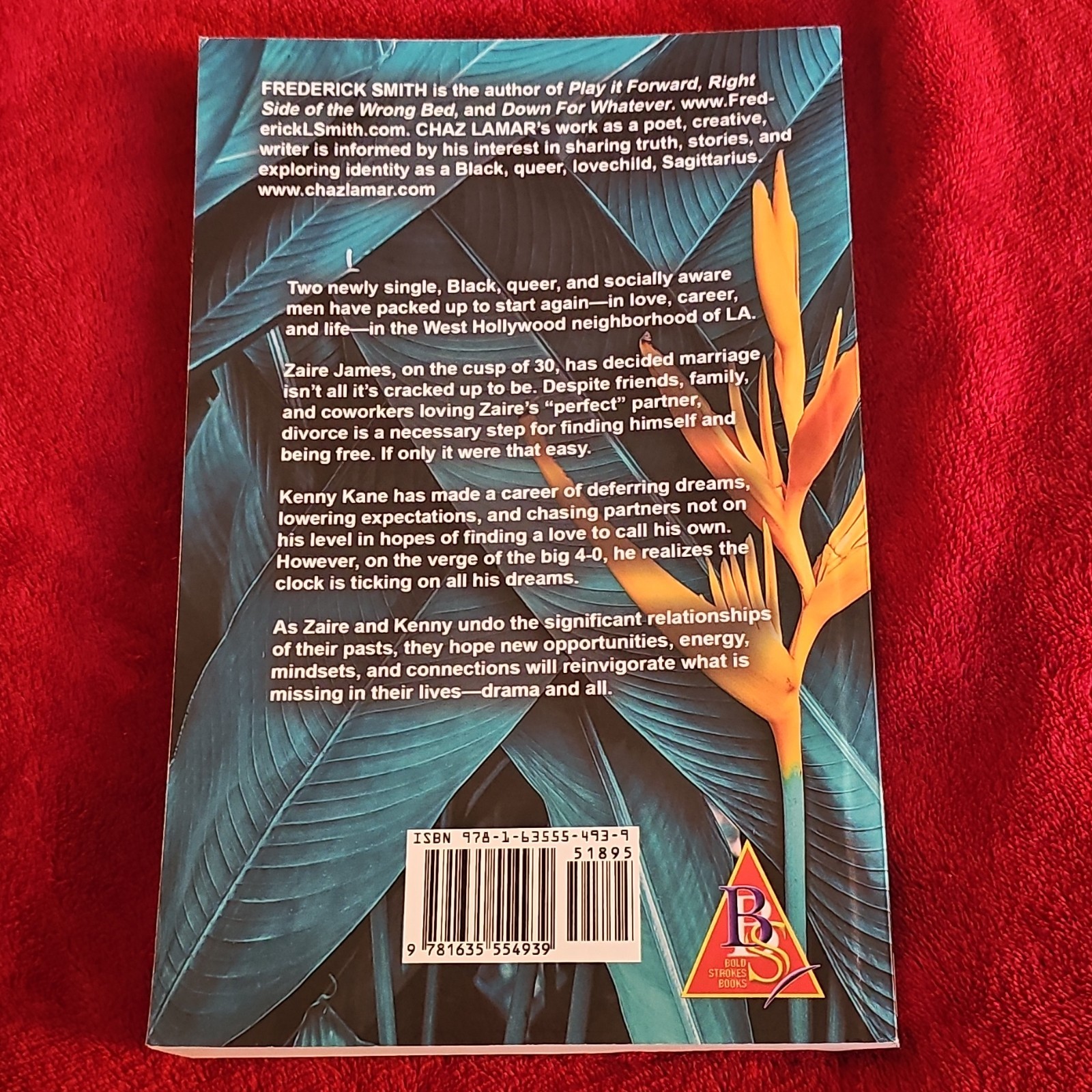 Bold Strokes Books In Case You Forgot Trade Paperback 2019 Fiction Romance LGBT