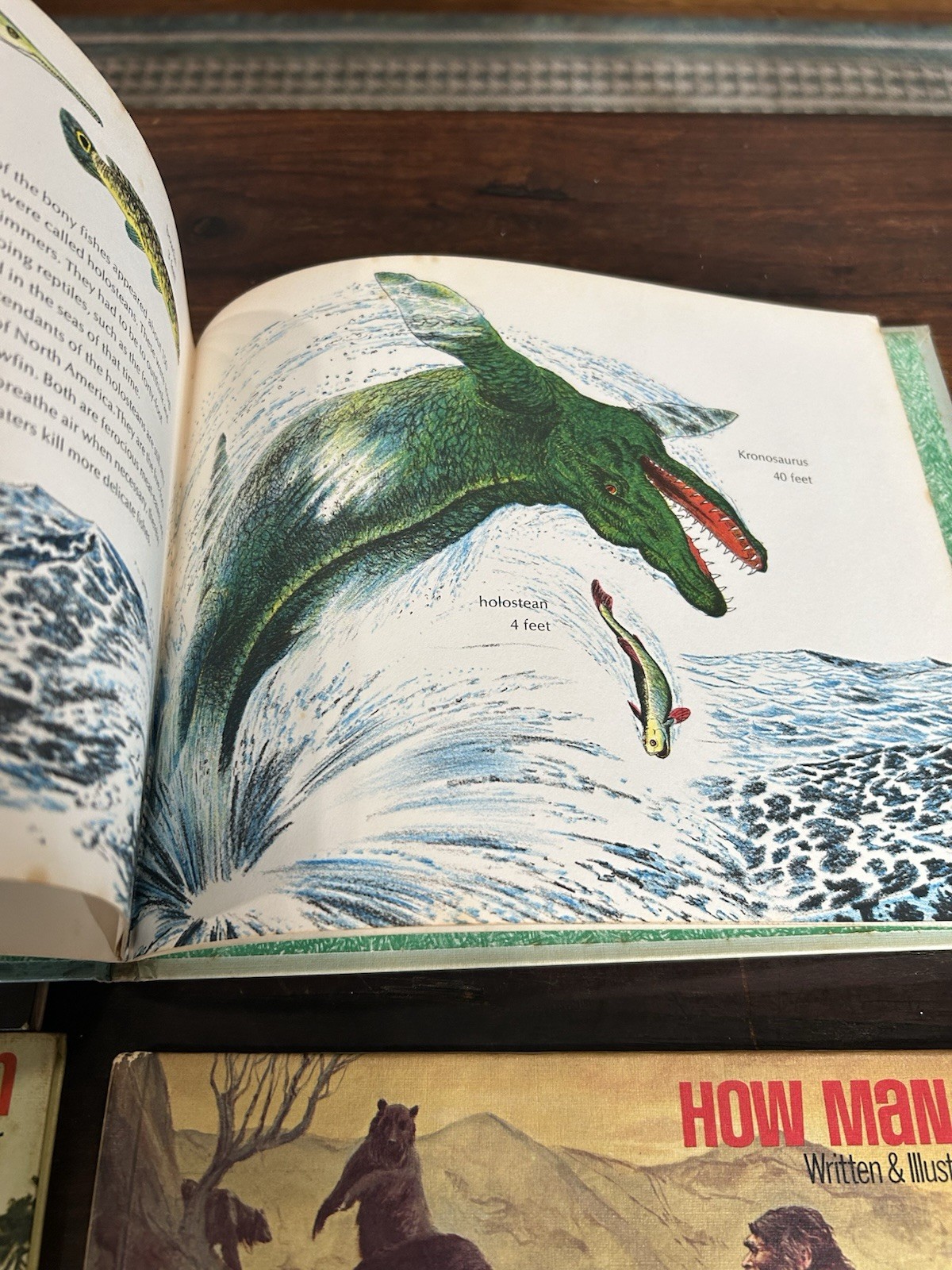 4 World Ecology for Young Readers Books Mel Hunter Fish, Plants, Mammals, Earth