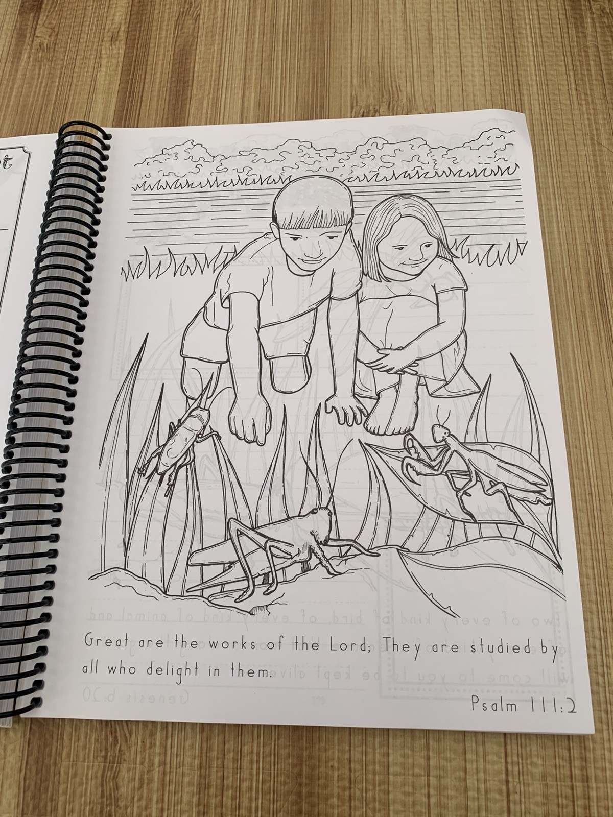 Exploring Creation with Zoology 1: Flying Creatures of the Fifth day, Junior…