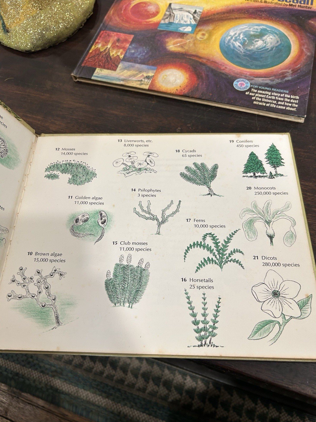4 World Ecology for Young Readers Books Mel Hunter Fish, Plants, Mammals, Earth