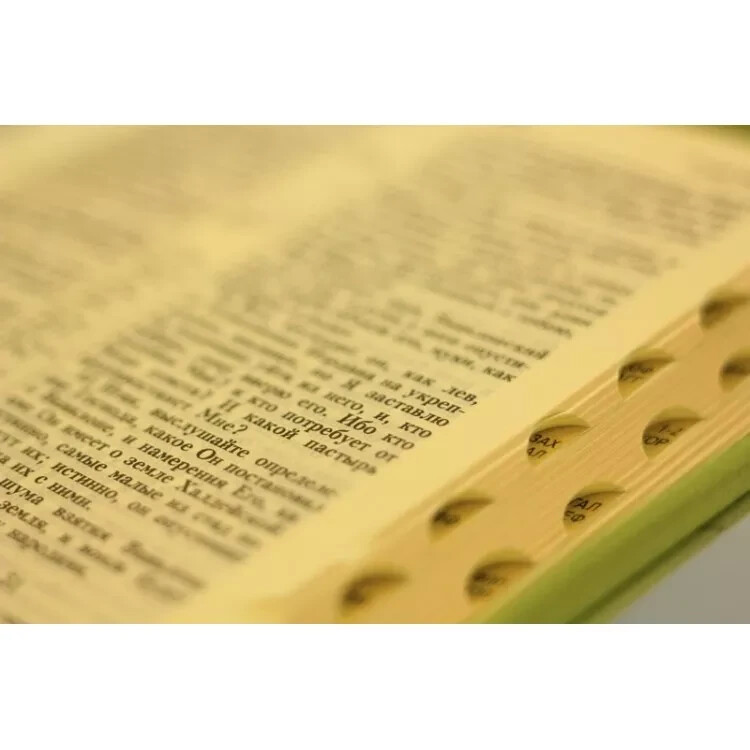Bible in Russian Библия синодальный перевод 13.5х18.5 см с застёжкой