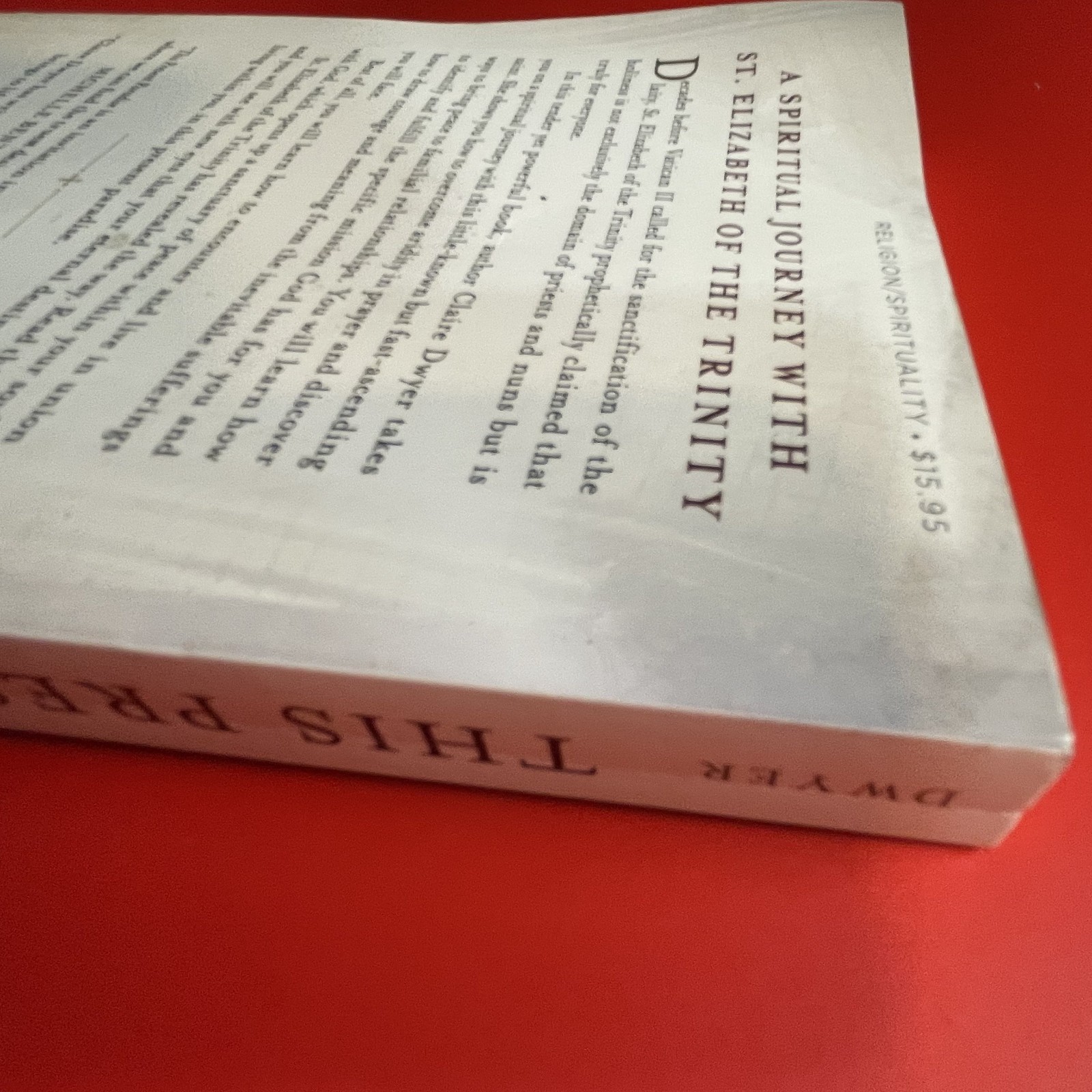 This Present Paradise – Paperback By Claire Dwyer – GOOD