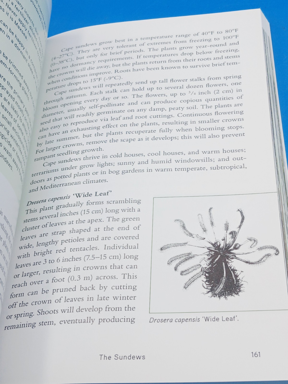The Savage Garden, Revised: Cultivating Carnivorous Plants..