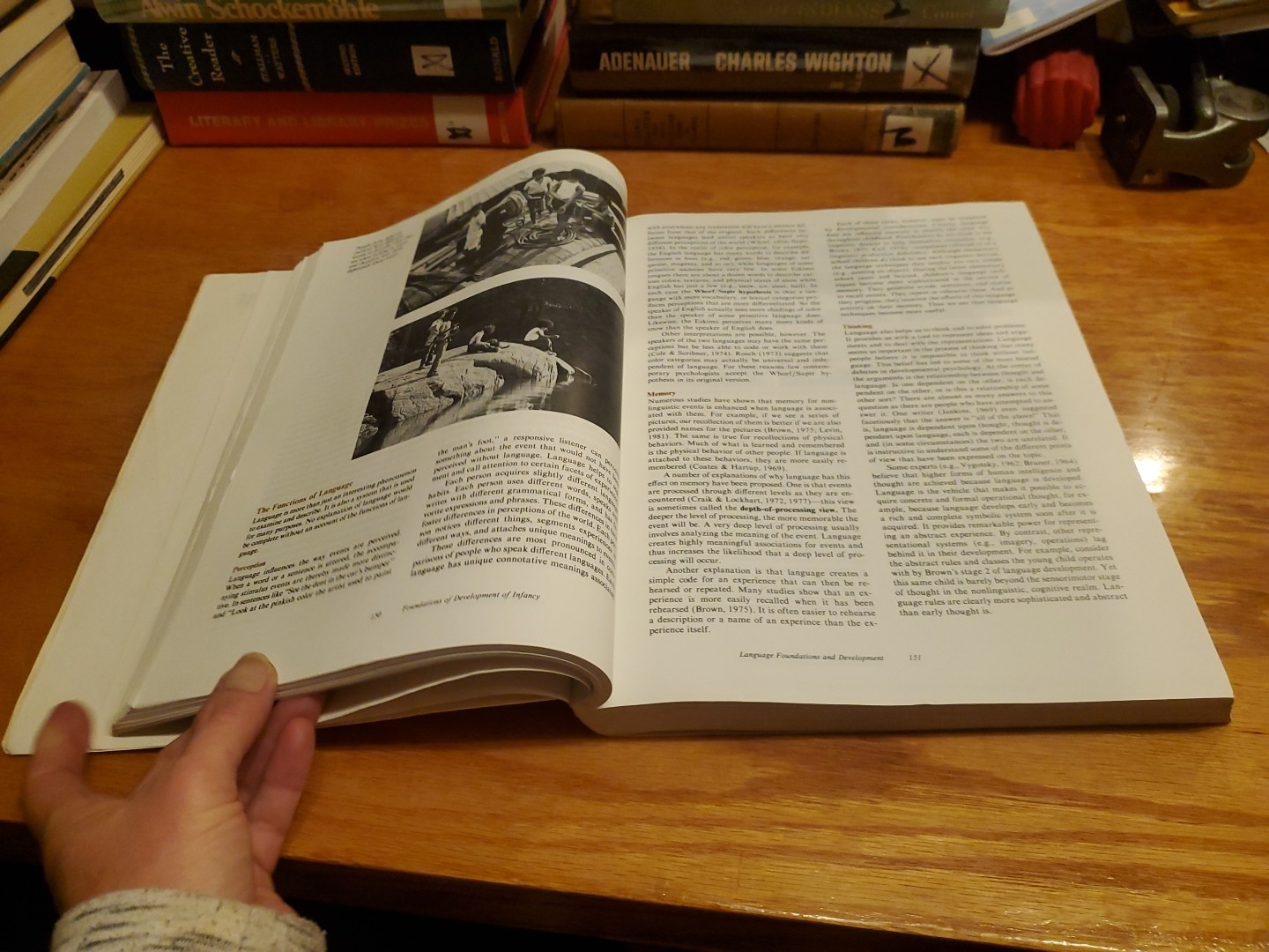 Life-Span Development by John W. Santrock 1983 PB