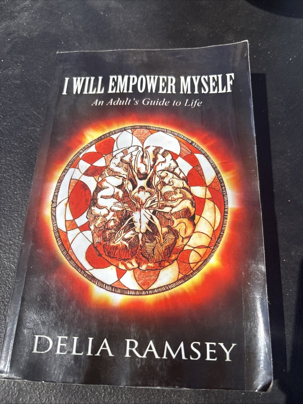 I Will Empower Myself : An Adult’s Guide to Life by Delia Ramsey
