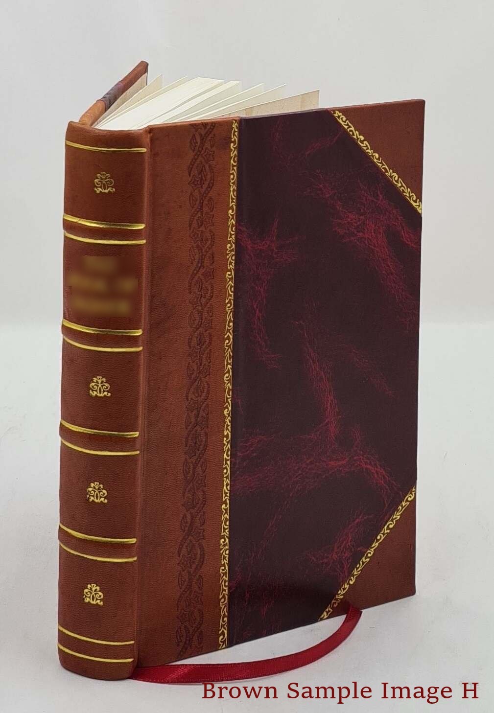 Free press anthology 1909 by Schroeder, Theodore Albert [Leather Bound]