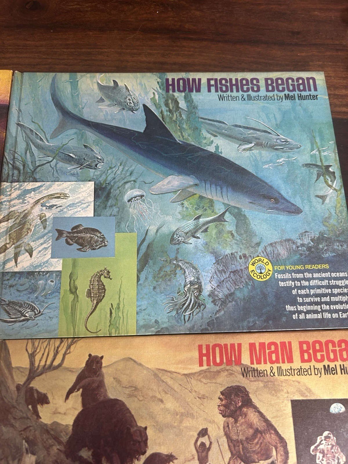 4 World Ecology for Young Readers Books Mel Hunter Fish, Plants, Mammals, Earth