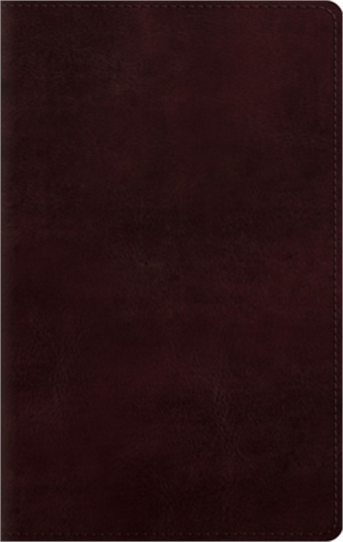Large Print Personal Size Bible-ESV (Leather / Fine Binding)