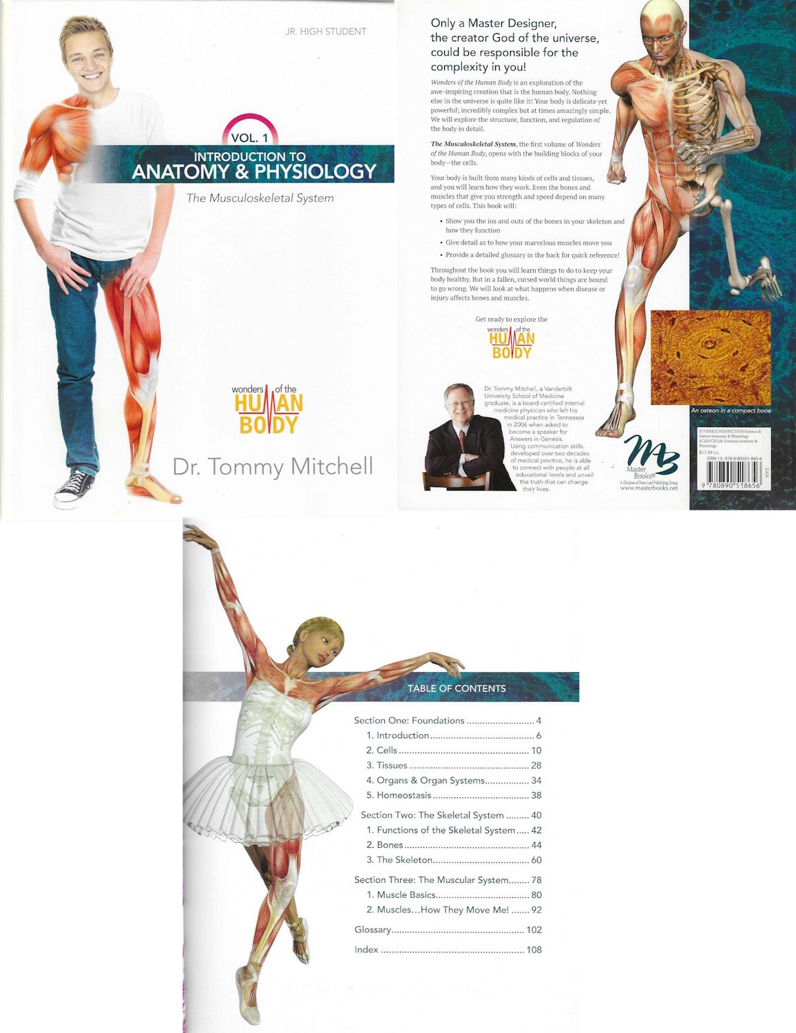 Introduction to Anatomy Physiology, Vol 1 The Musculoskeletal System by Mitchell
