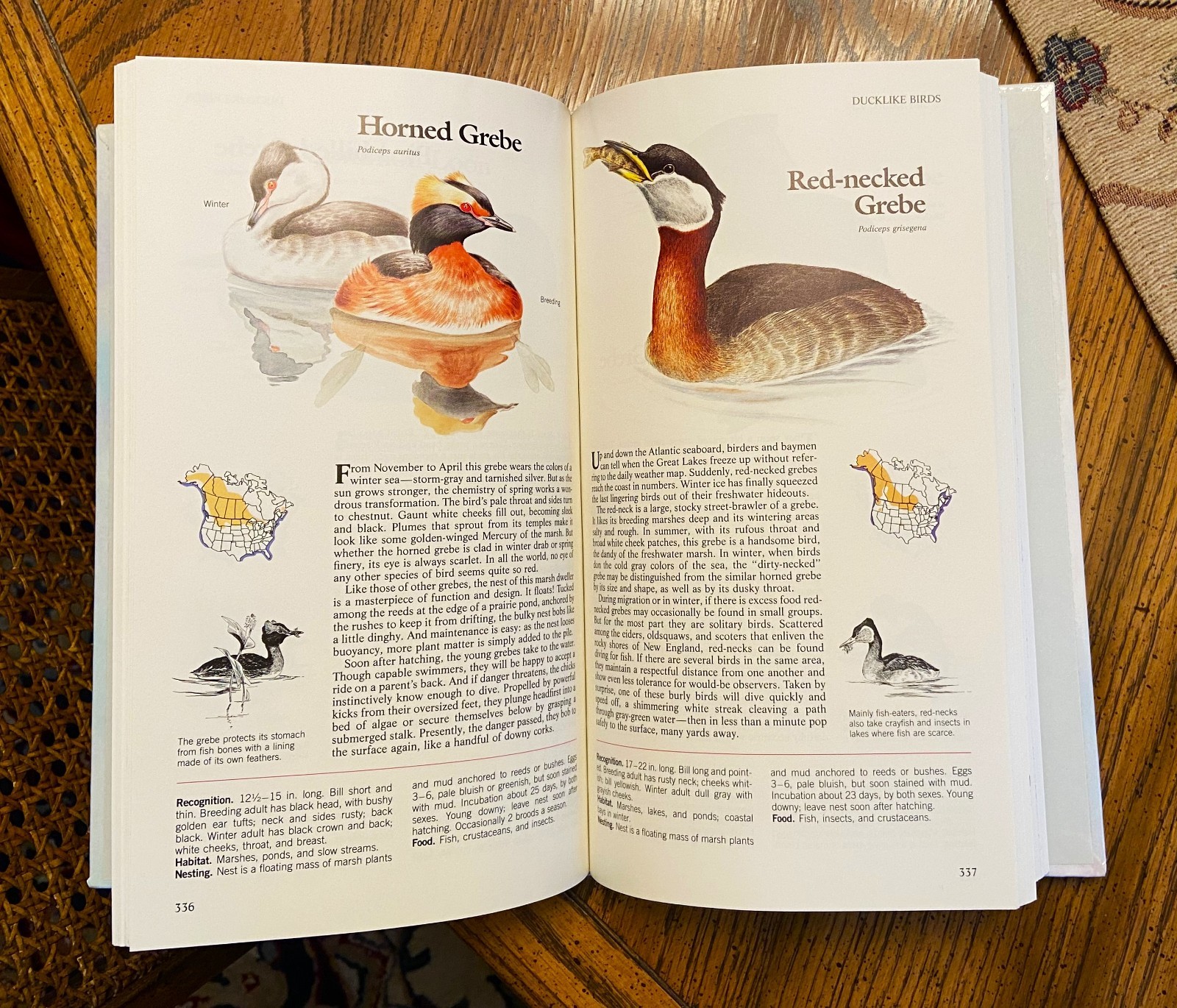 Vintage Reader’s Digest “BOOK of NORTH AMERICAN BIRDS”, hardcover, 576 pgs, Mint