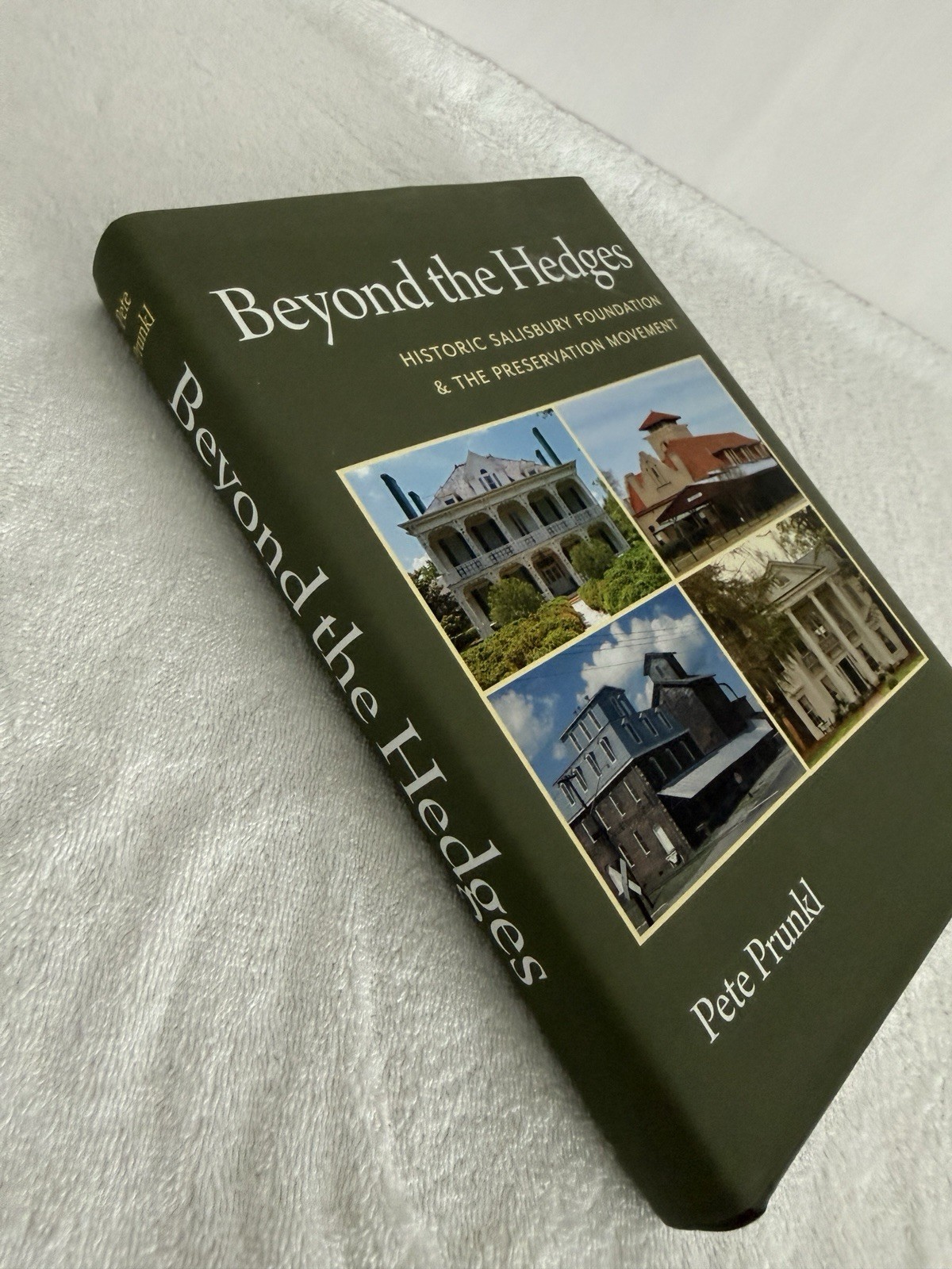 Beyond The Hedges Pete Prinkl Book Historic Salisbury Preservation Movement
