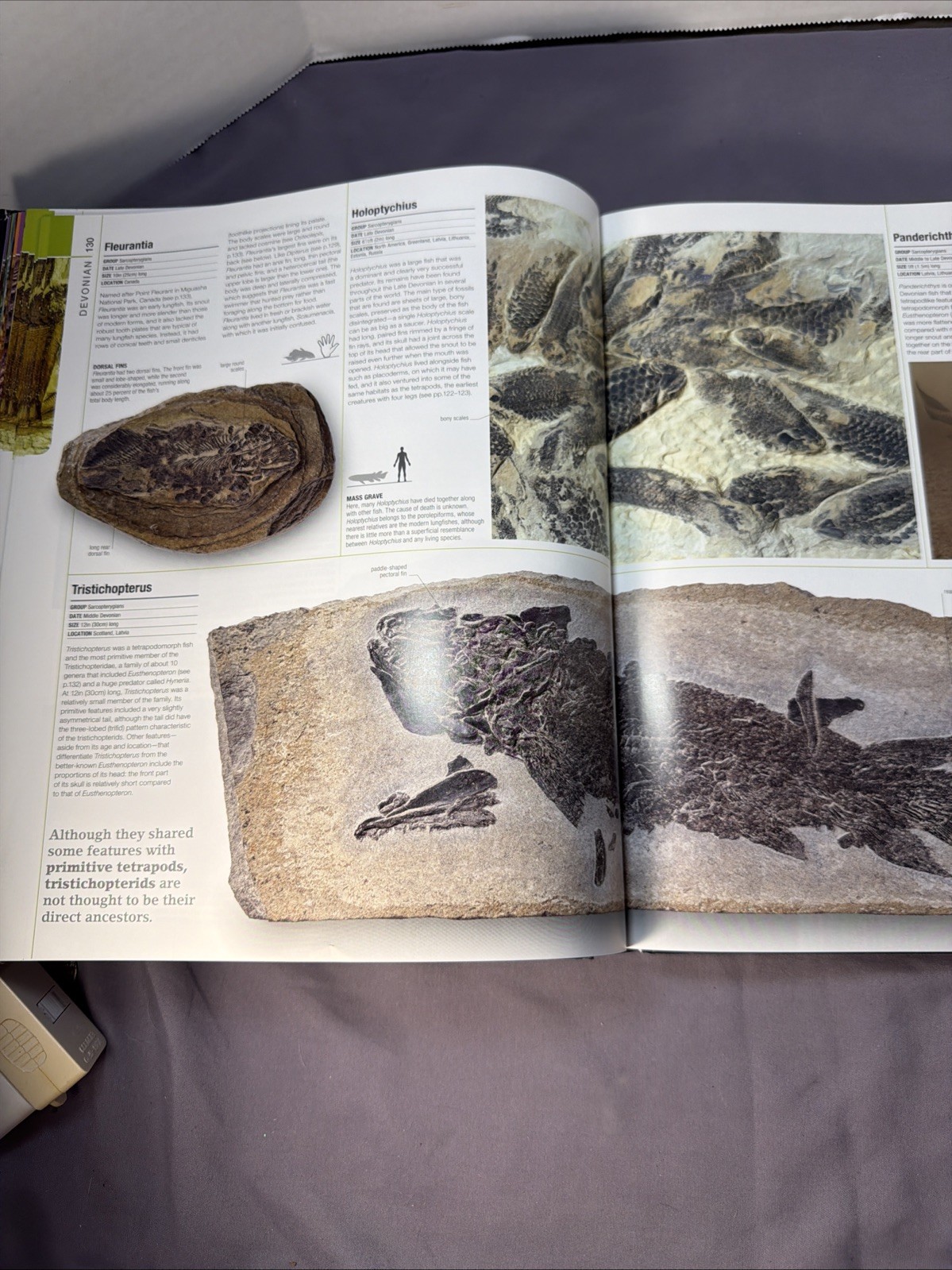 Dinosaurs & Prehistoric Life: The Definitive Visual Guide to Prehistoric Animals