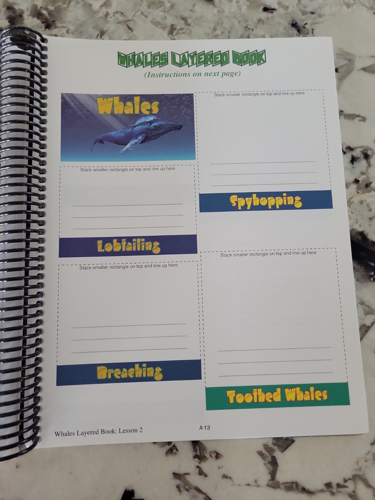 Zoology 2 Junior Notebooking Journal by Jeannie K. Fulbright (2011, Spiral)