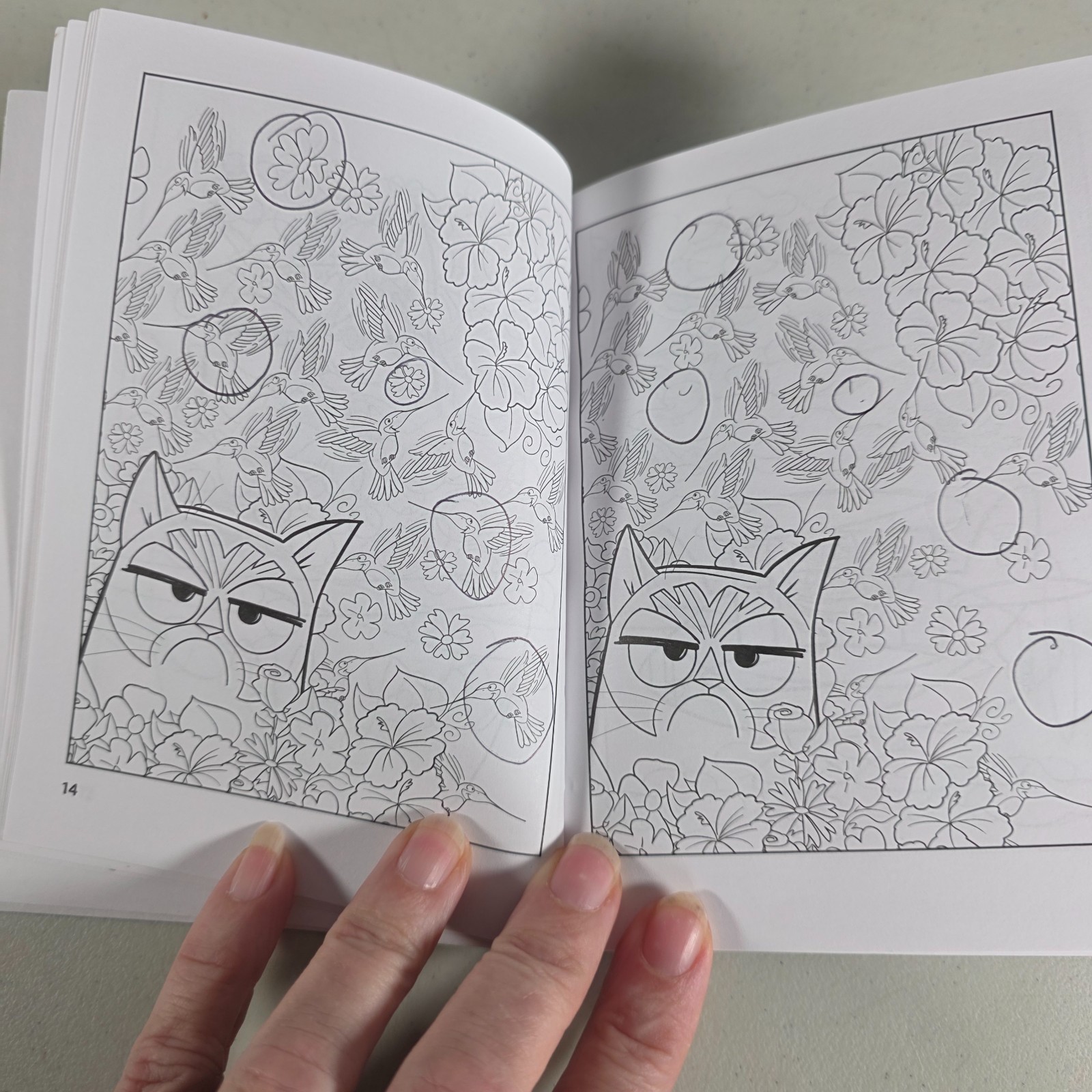 Grumpy Cat Spot‑the‑Differences Coloring Book – 4″ × 6″ – 62 Pages – Dover