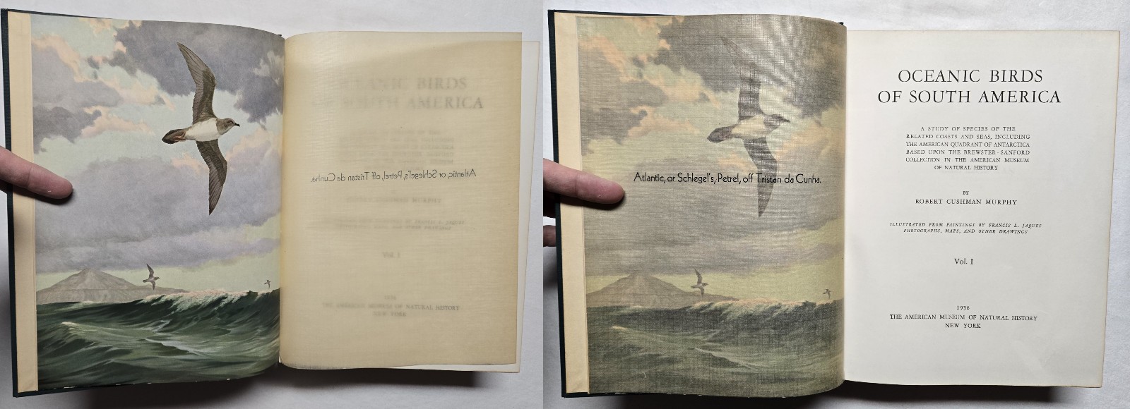 1936 SIGNED Robert Cushman Murphy OCEANIC BIRDS OF SOUTH AMERICA Ornithology
