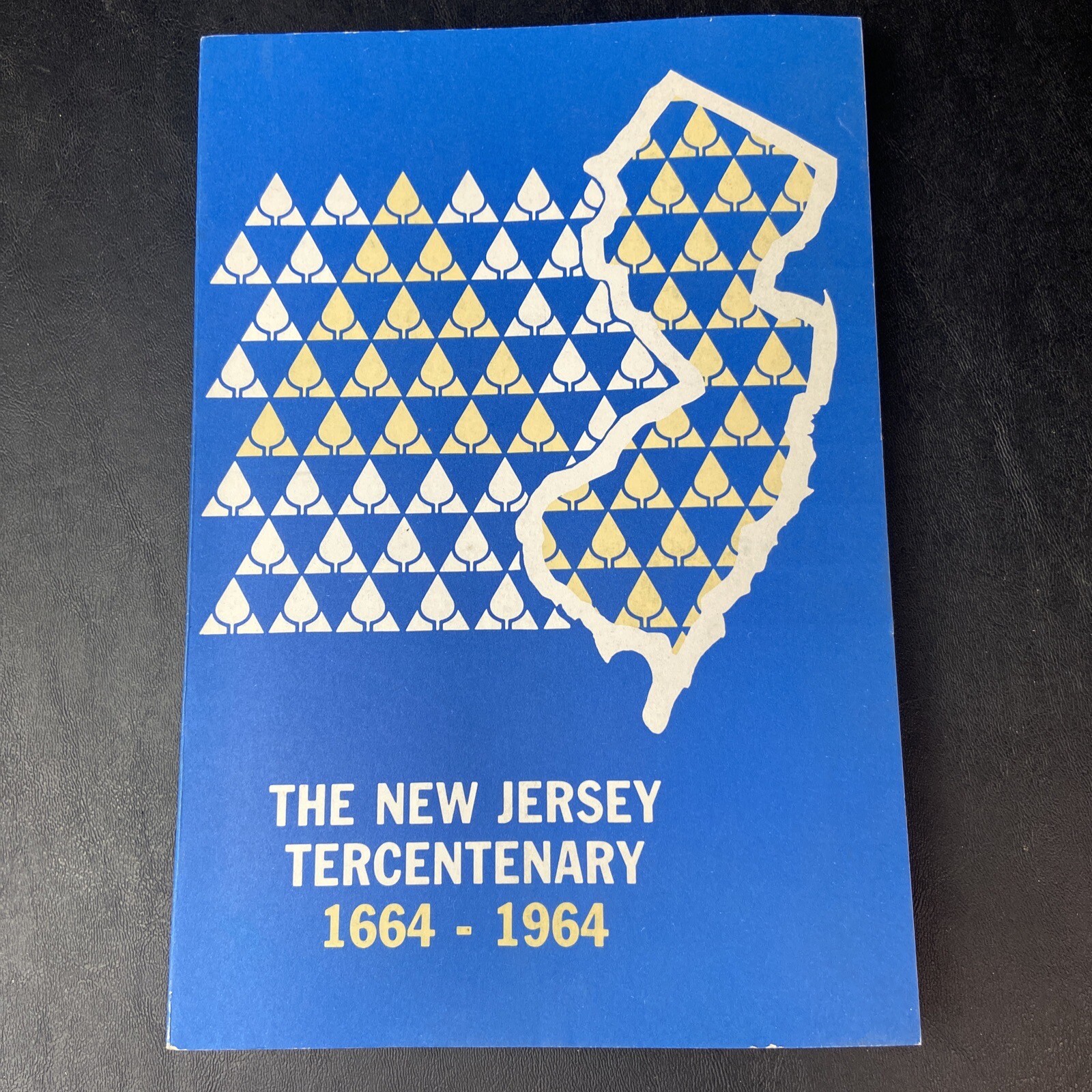 “New Jersey Tercentenary 1664-1964” Soft Cover 260 Pages