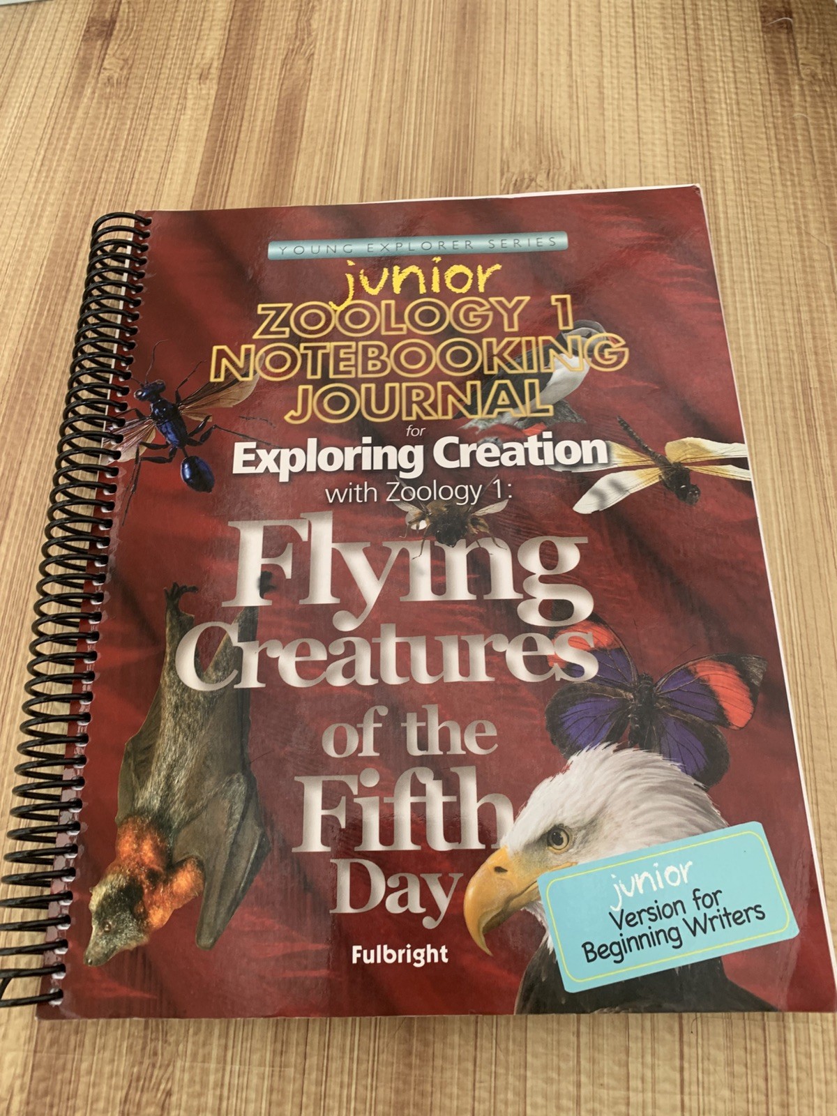 Exploring Creation with Zoology 1: Flying Creatures of the Fifth day, Junior…