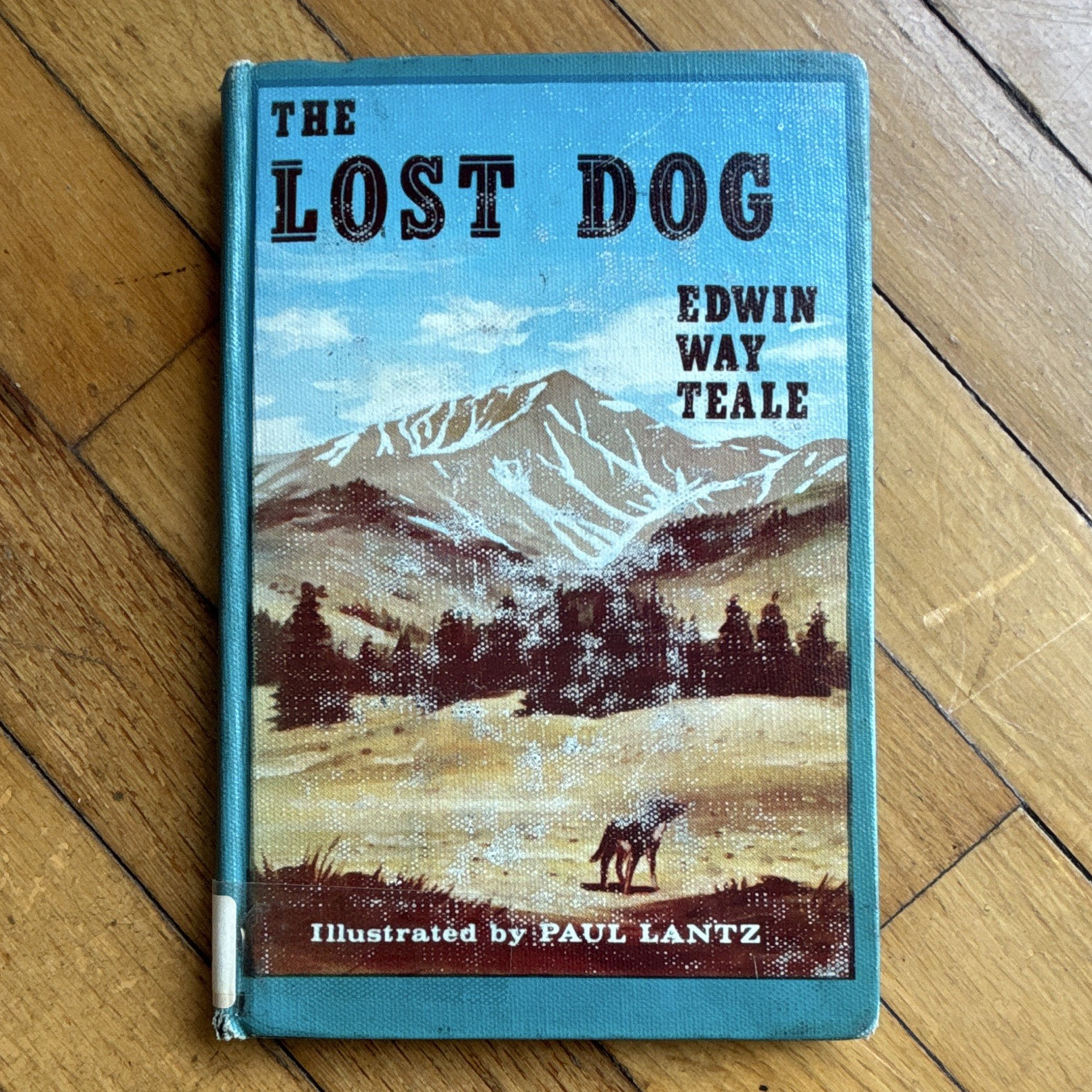 The Lost Dog Hardcover Edwin Way Teale Illustrated Paul Lantz 1961 Ex Libris