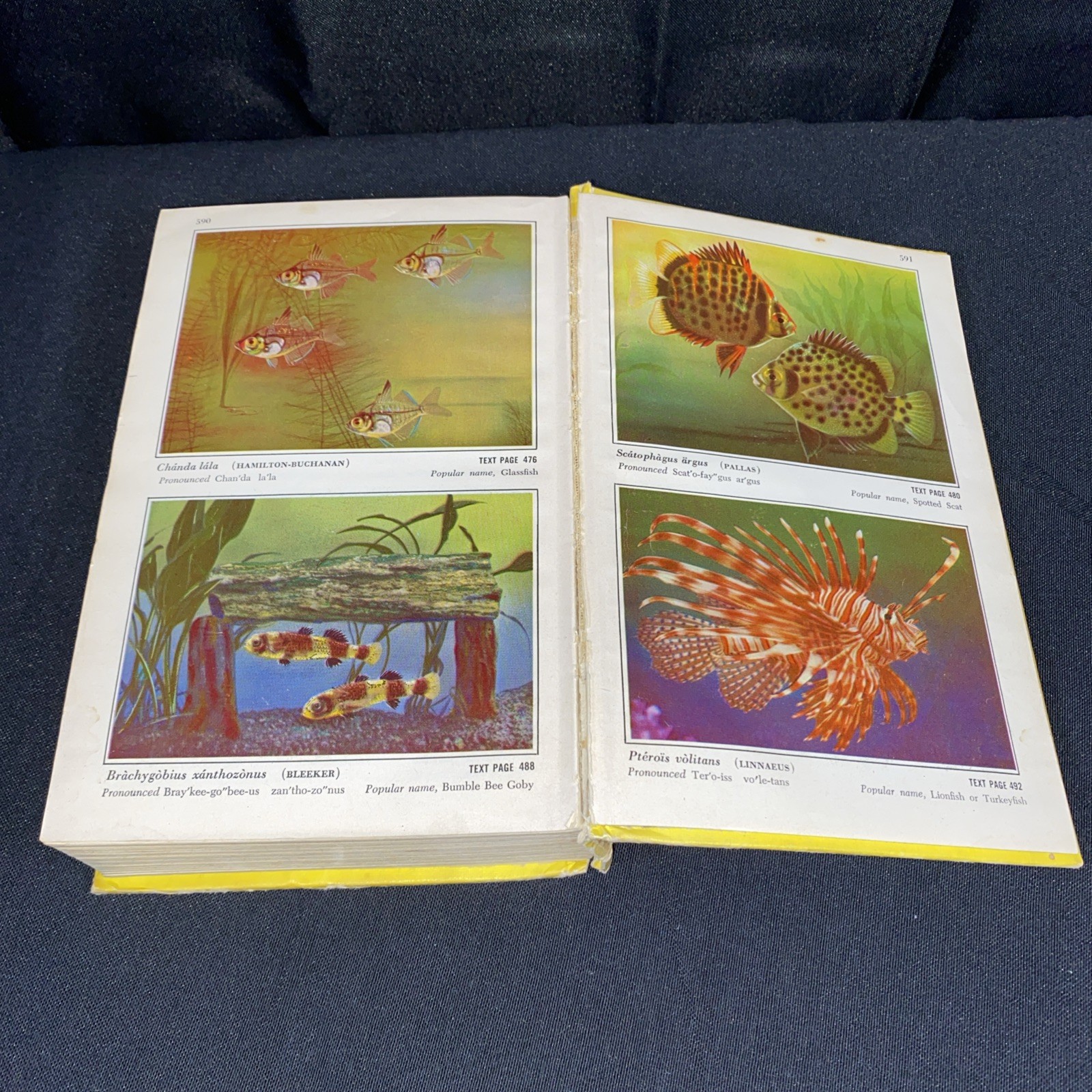 Exotic Aquarium Fishes, William Innes,Hard Cover,592 p, 500+ Illus, 19th Ed 1966