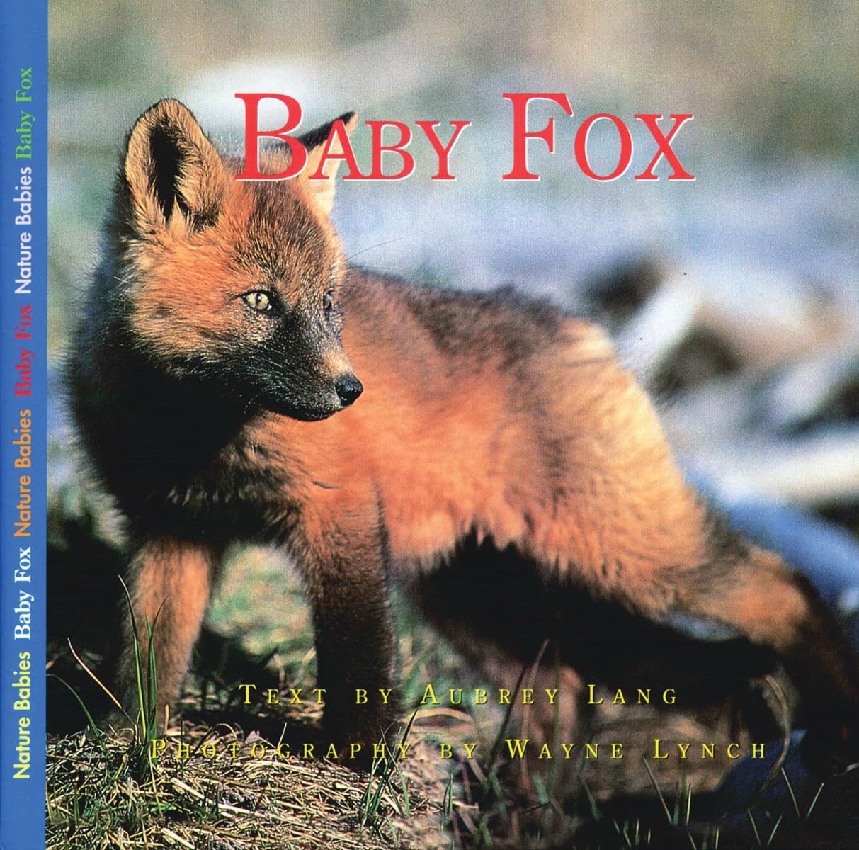 Baby Fox (Nature Babies) – Lang, Aubrey|Lynch, Wayne – Good – See condition …