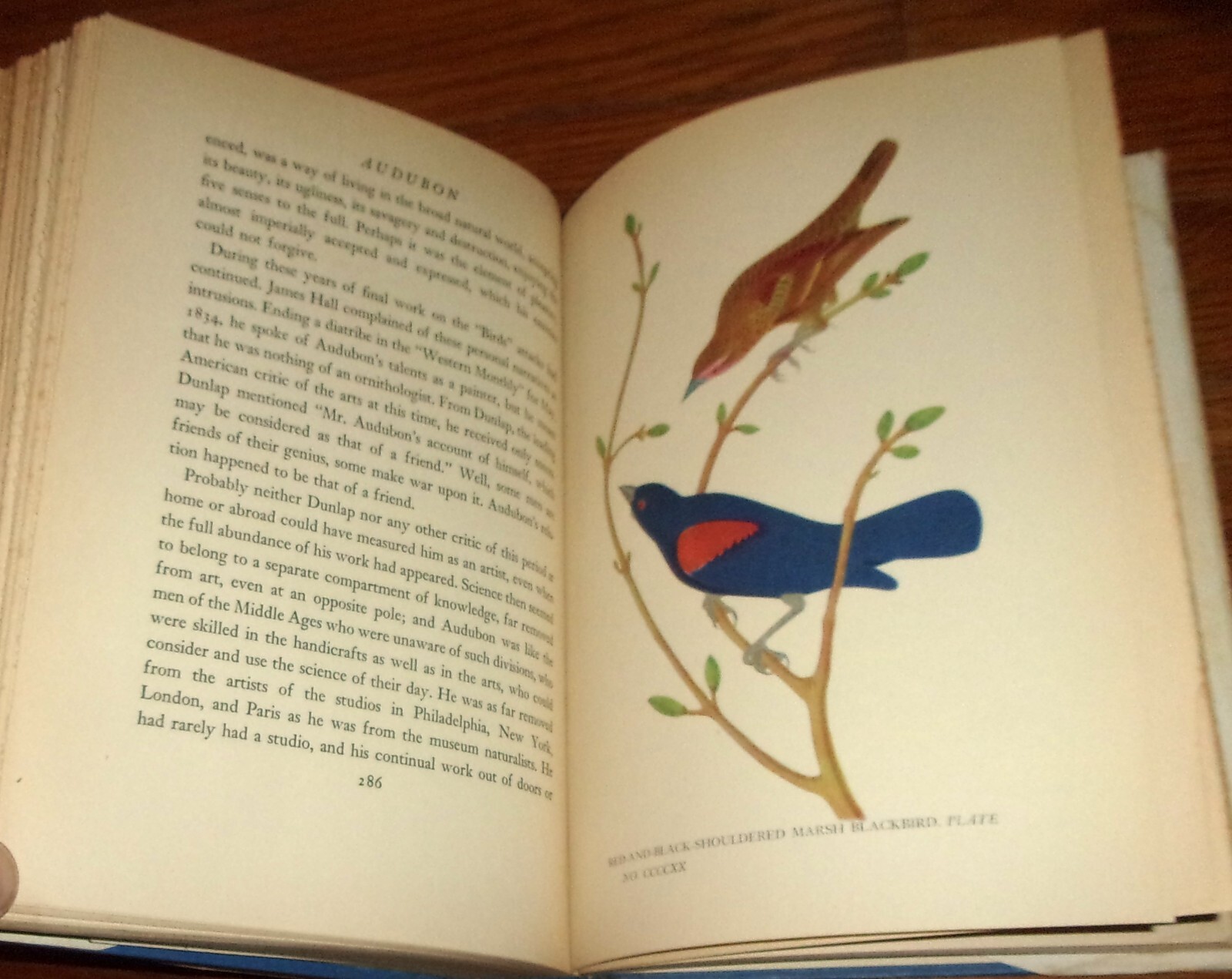 AUDUBON-1936 Biography-CONSTANCE ROURKE-12 Color Audubon Plates-Ex HC w/DJ oop!