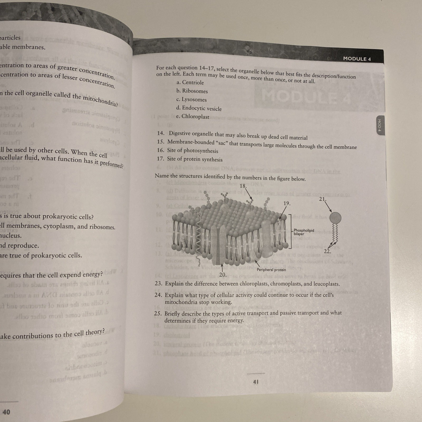 Exploring Creation with Biology (3rd Edition) Solutions Manual & Test Packet Kit