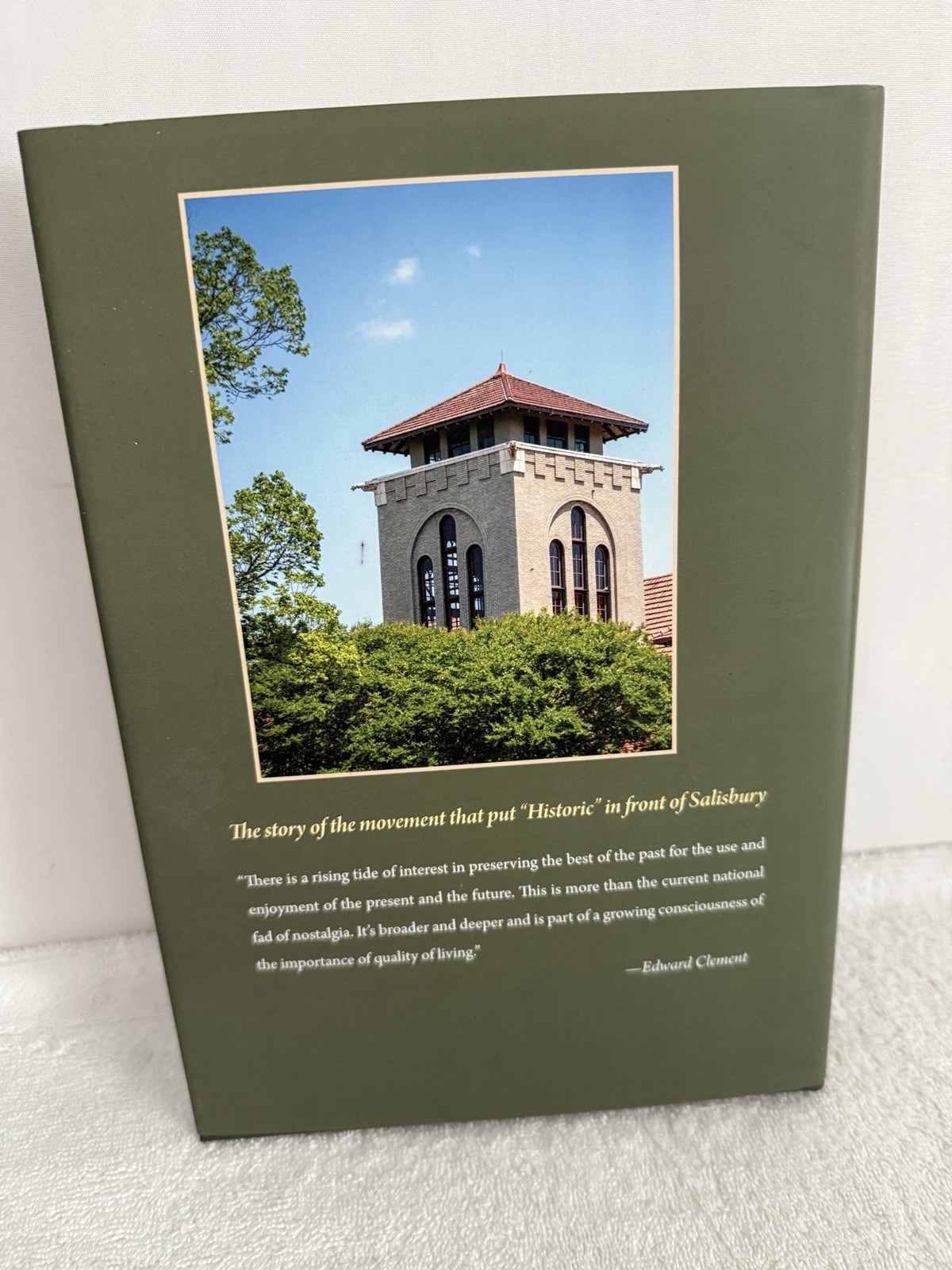 Beyond The Hedges Pete Prinkl Book Historic Salisbury Preservation Movement