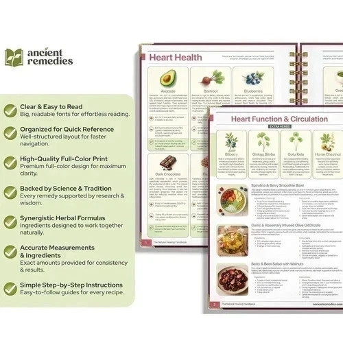 The Natural Healing Handbook Spiral Bound Guide For Herbal Remedies And Natural