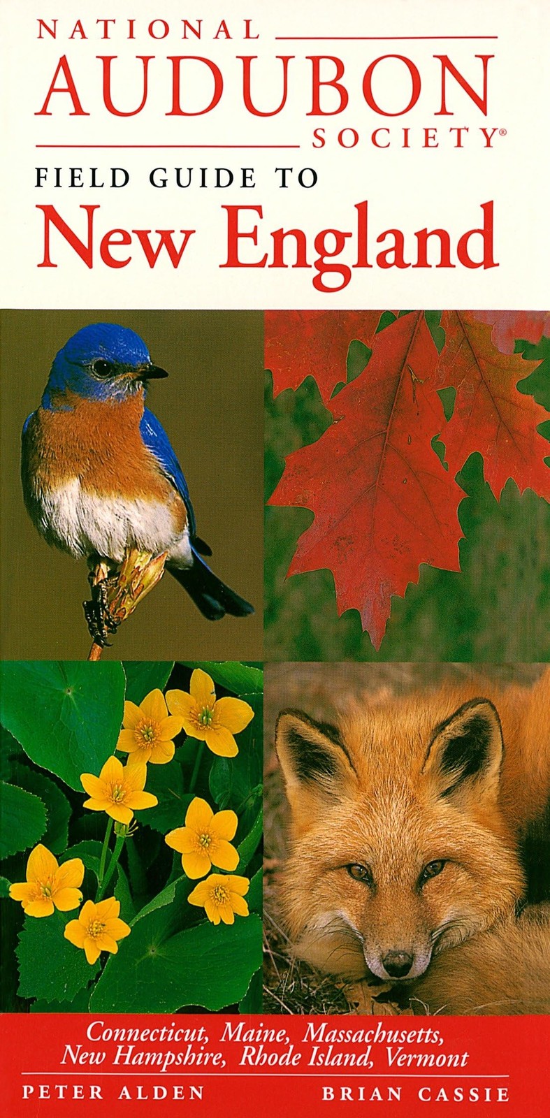 National Audubon Society Field Guide to New England: Connecticut, Maine, Mas…