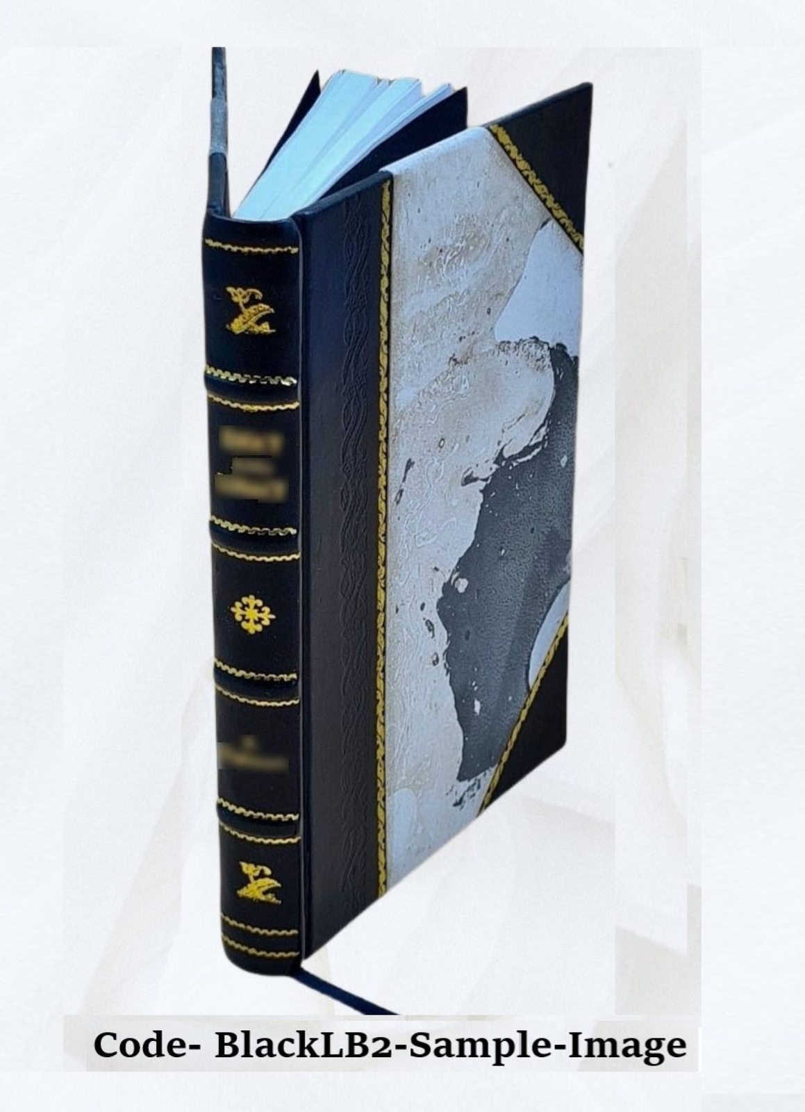 The Graphic And Historical Illustrator An Original Miscellany Of [Leather Bound]