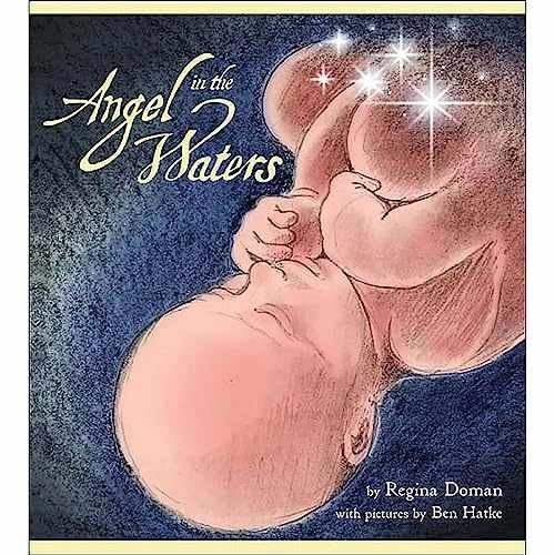 Sophia Institute Press Angel in The – Paperback, by Doman Regina – Very Good