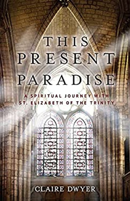 This Present Paradise Paperback Claire Dwyer
