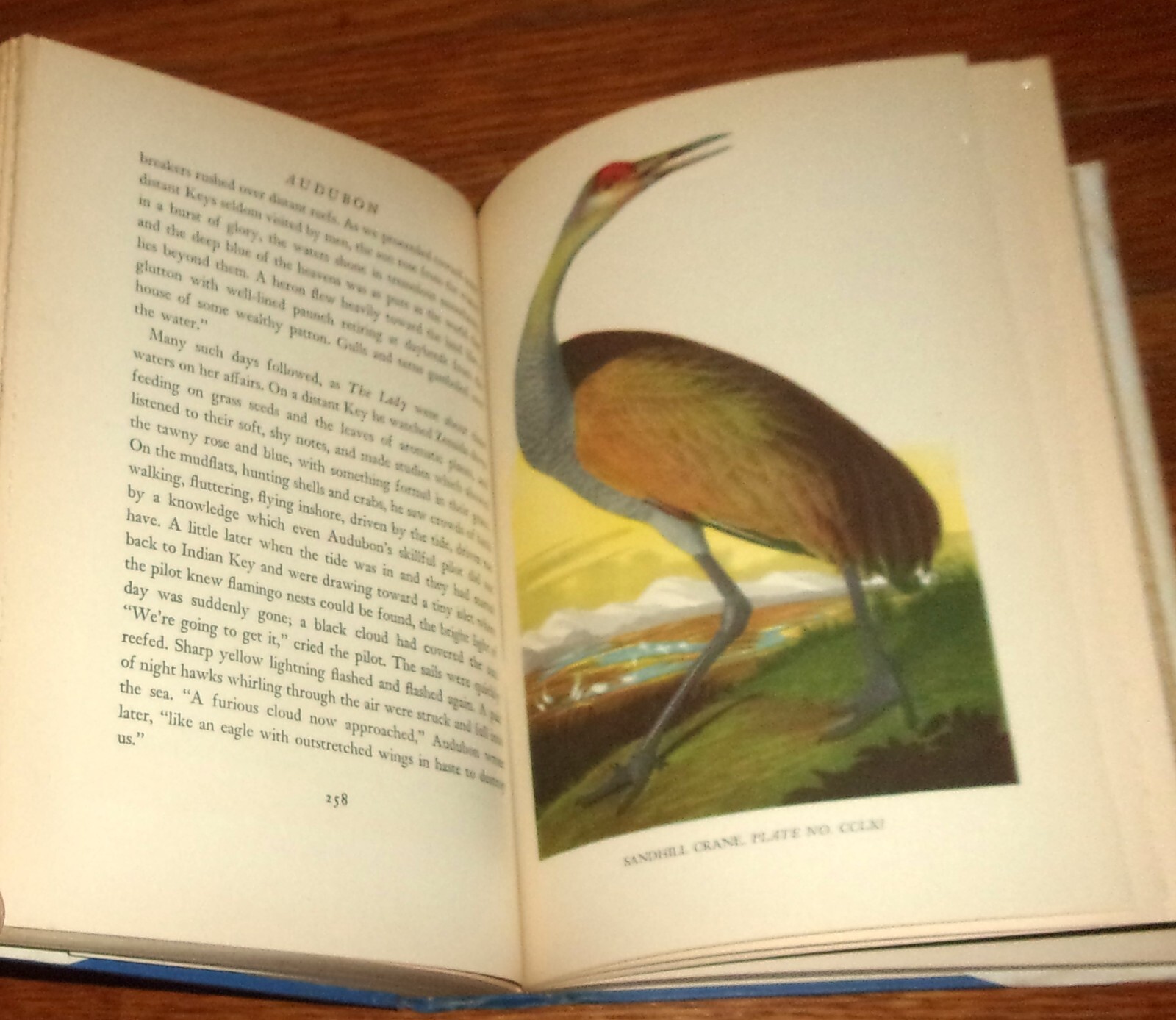 AUDUBON-1936 Biography-CONSTANCE ROURKE-12 Color Audubon Plates-Ex HC w/DJ oop!