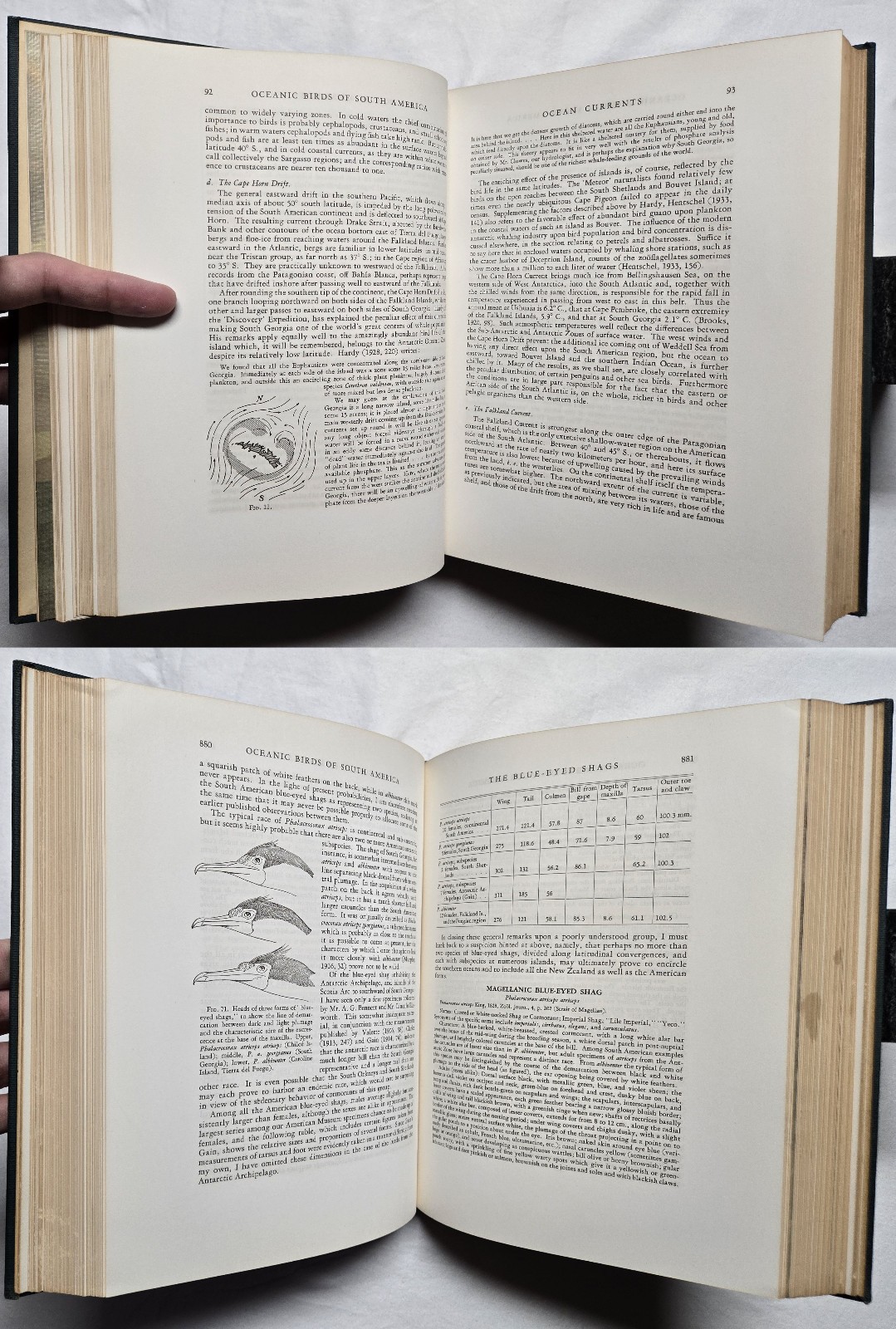 1936 SIGNED Robert Cushman Murphy OCEANIC BIRDS OF SOUTH AMERICA Ornithology