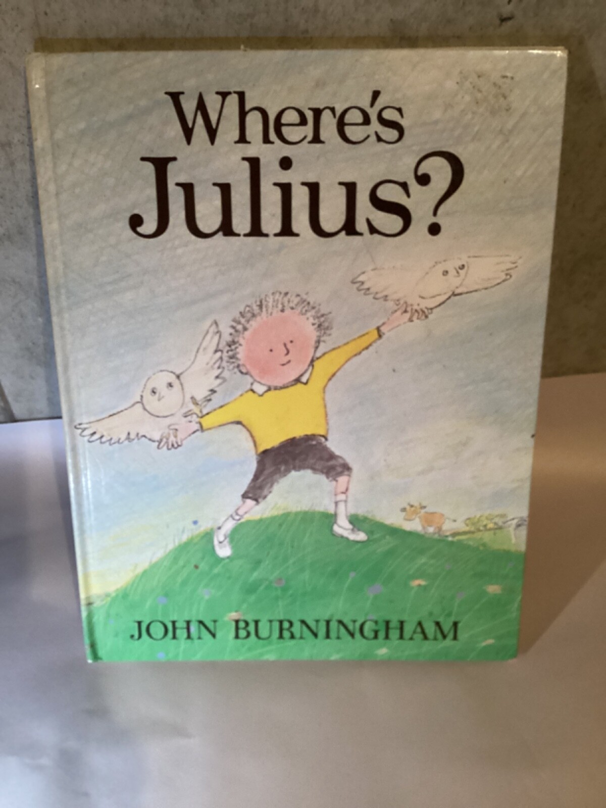 Where’s Julius – Hardcover By Burningham, John – GOOD Condition