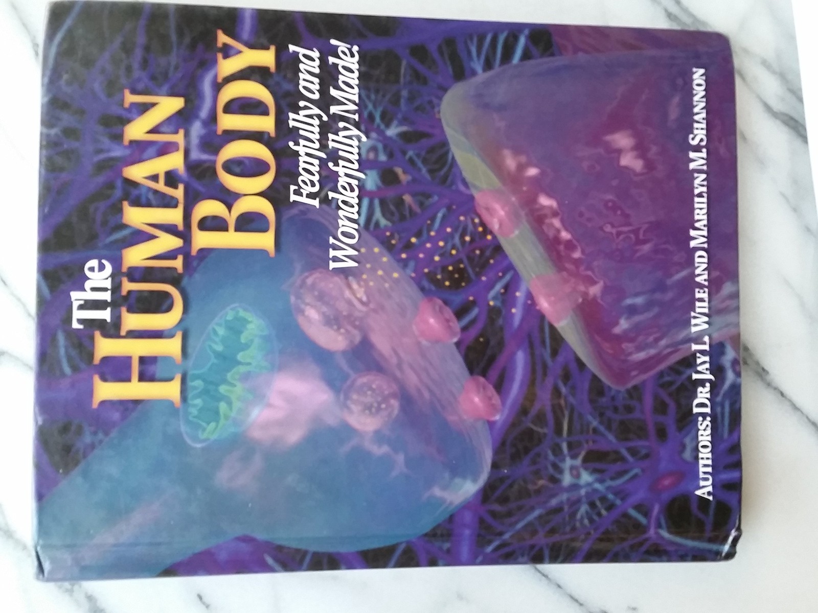 Human Body by Jay L Wile