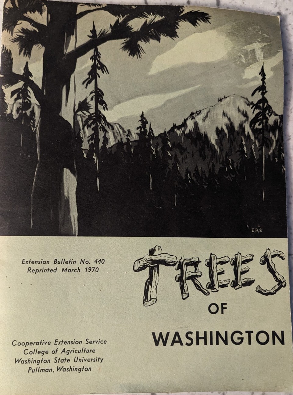 Trees Of Washington Extension Bulletin 440 Reprinted 1970 WSU 40 pages