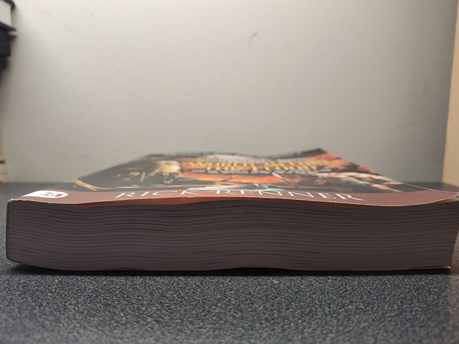 Fallen Angels, Giants, Monsters and the – Paperback, by Renner Rick – Very Good