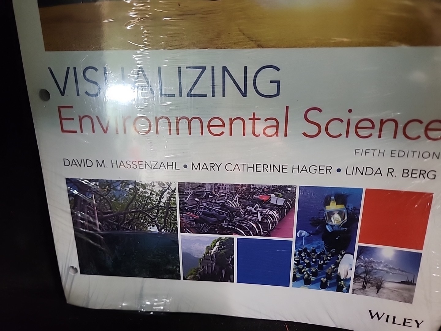 Visualizing Environmental Science, Loose Leaf, by Hassenzahl David M Wiley