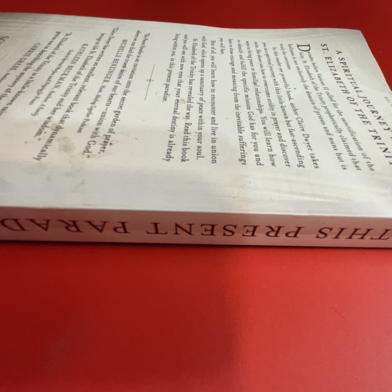 This Present Paradise – Paperback By Claire Dwyer – GOOD