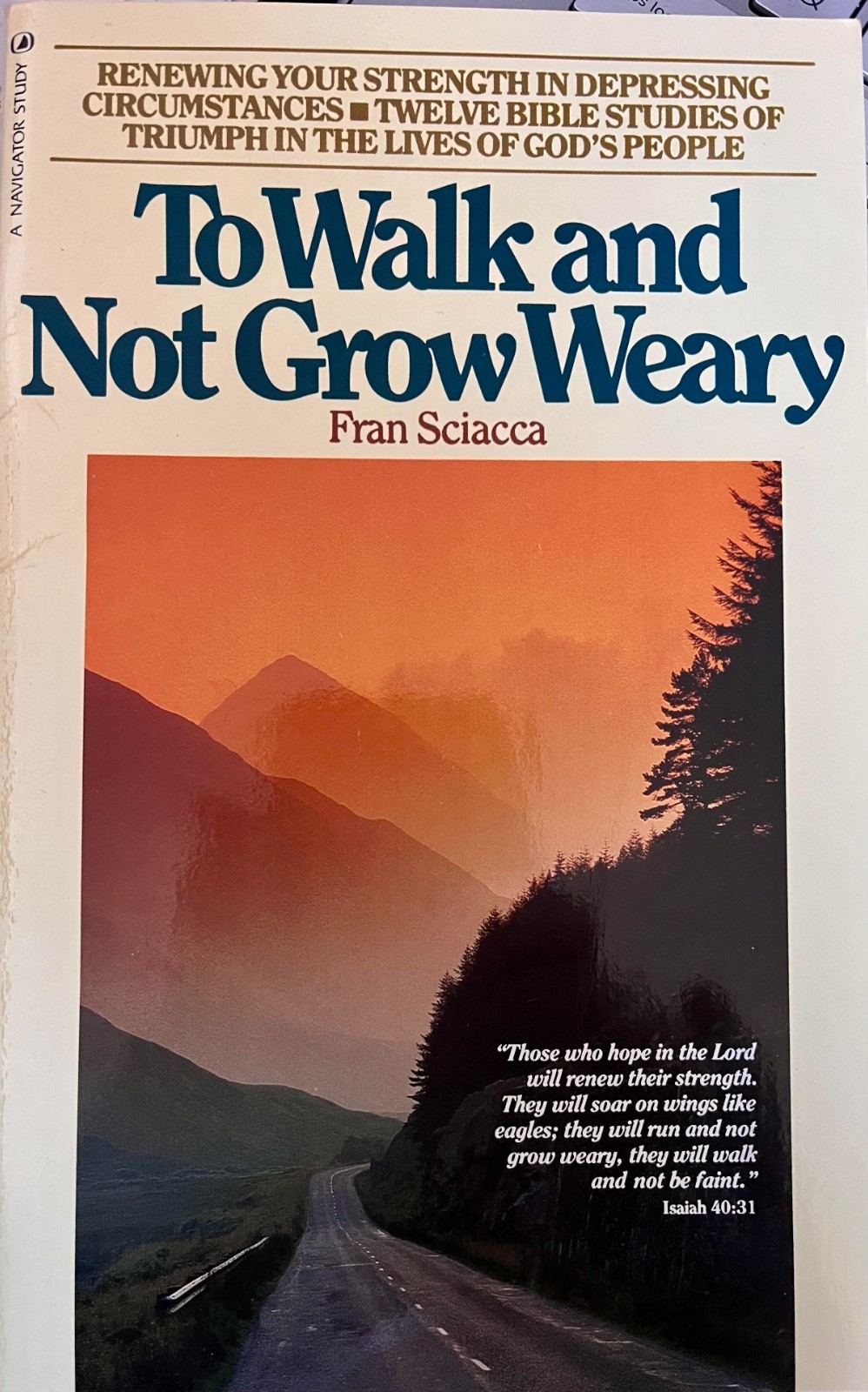To Walk and Not Grow Weary : Renewing Your Strength in Depressing Circumstances