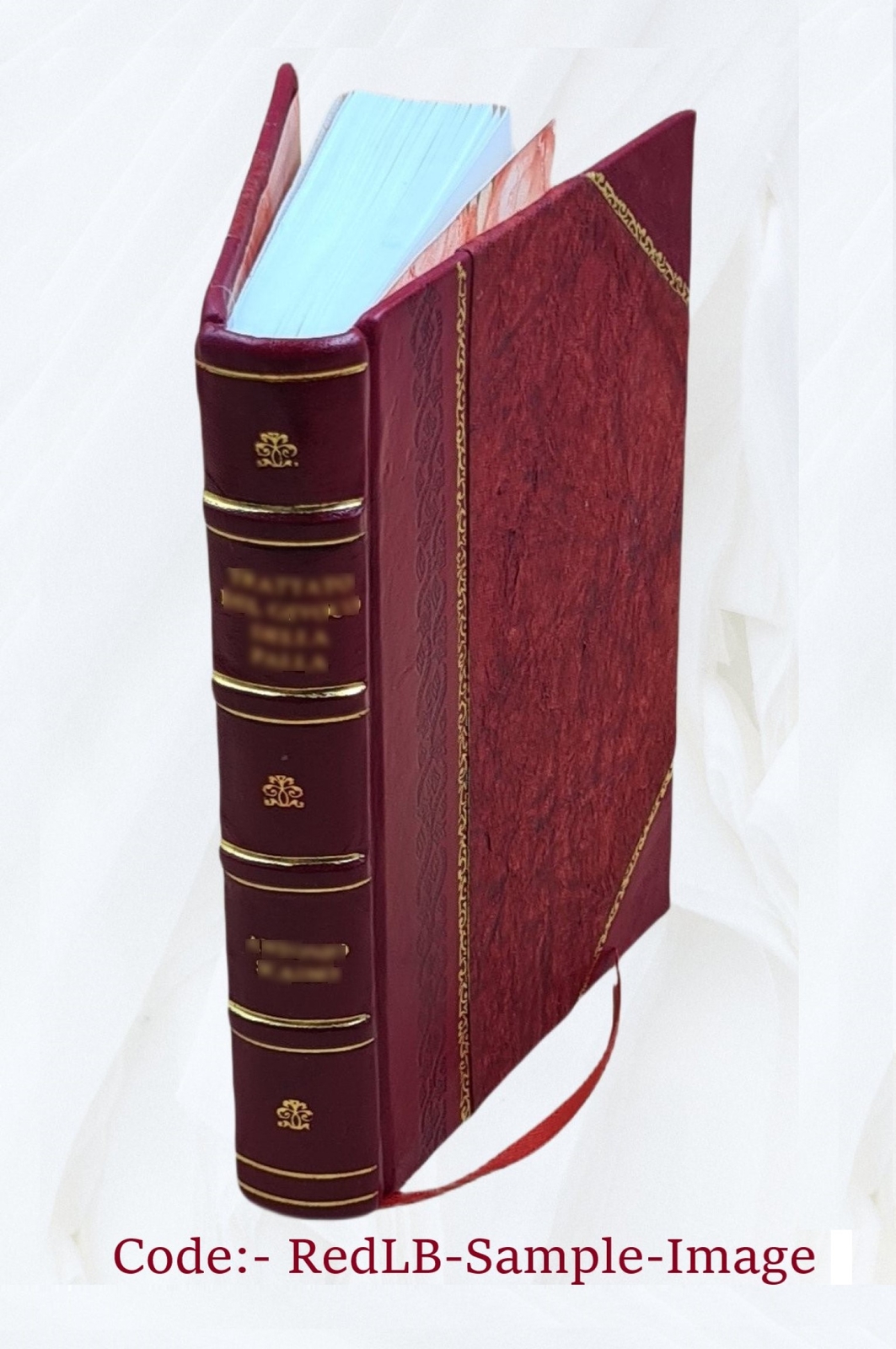 The book of Enoch 1893 by August Dillmann, R. H. Charles [Leather Bound]