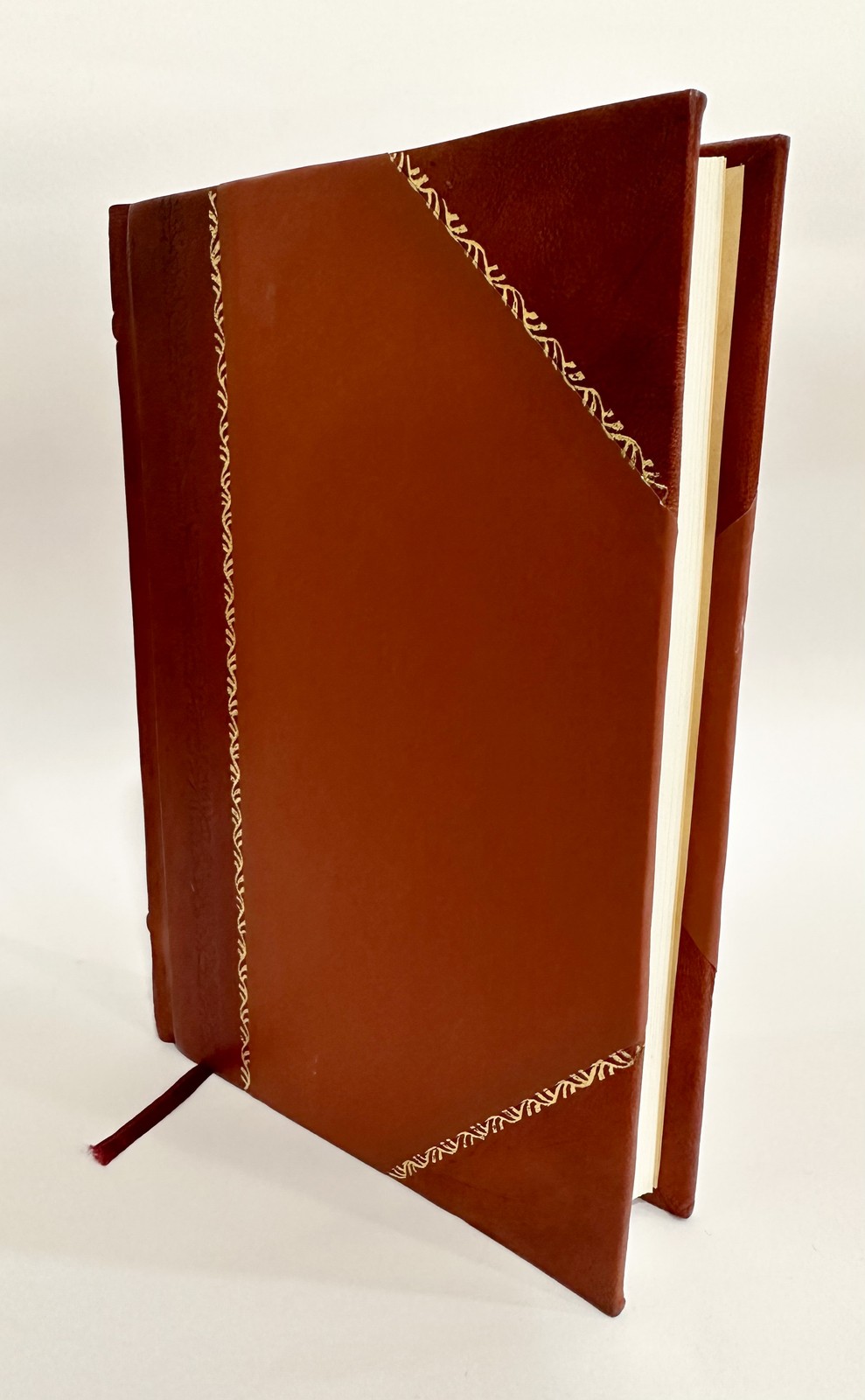 Things You Must Know for Safety; a Manual of Information and St [Leather Bound]